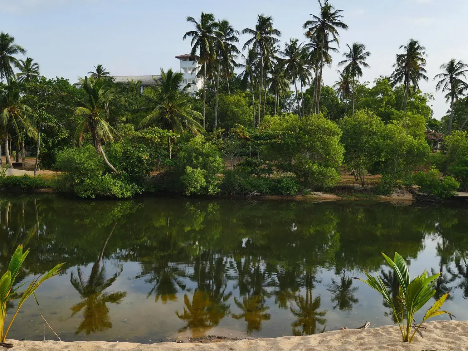 Natural landscape in Lagoon Paradise Beach Resort