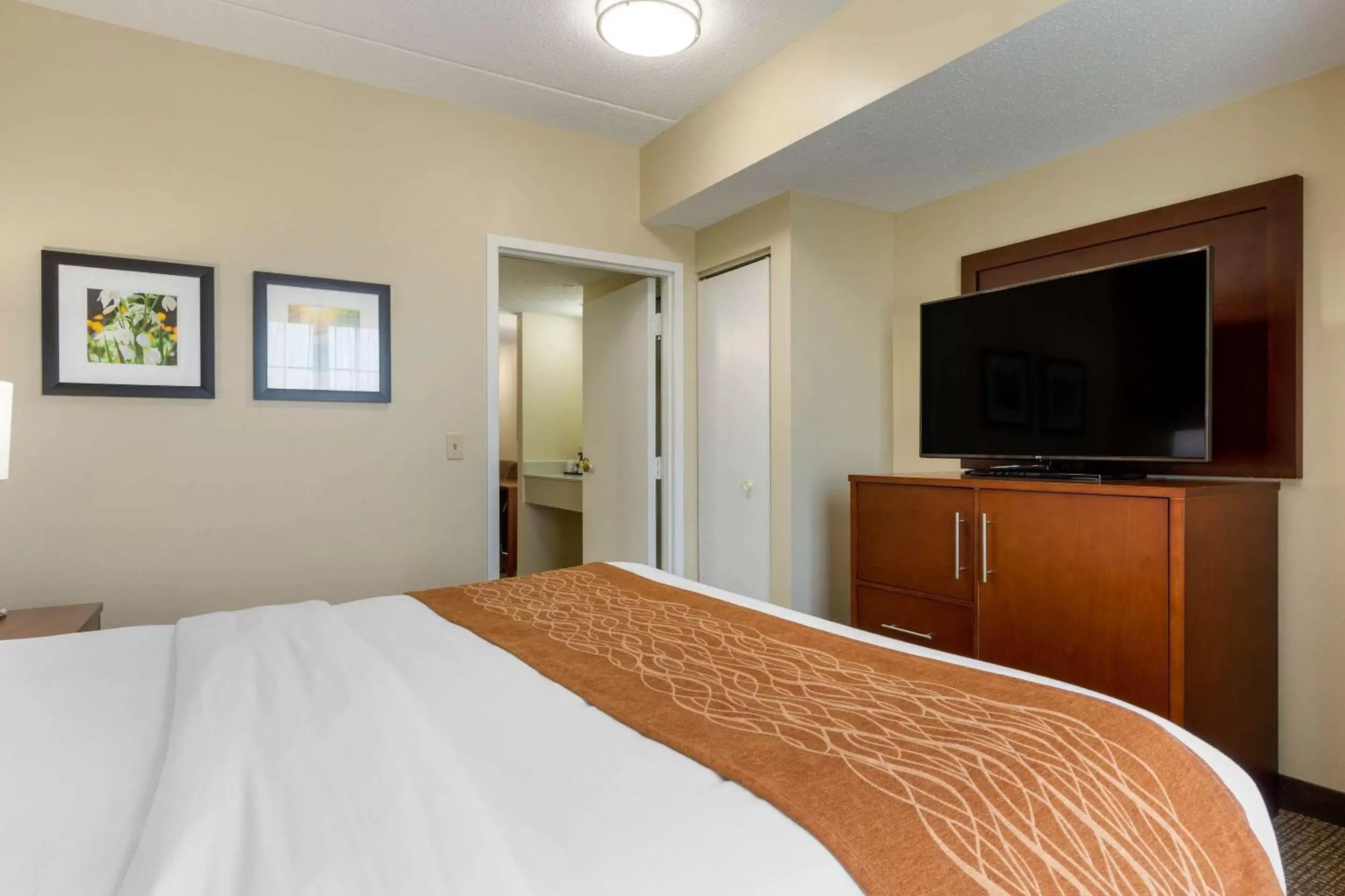 King Suite with Sofa Bed - Non-Smoking in Comfort Inn & Suites Cordele