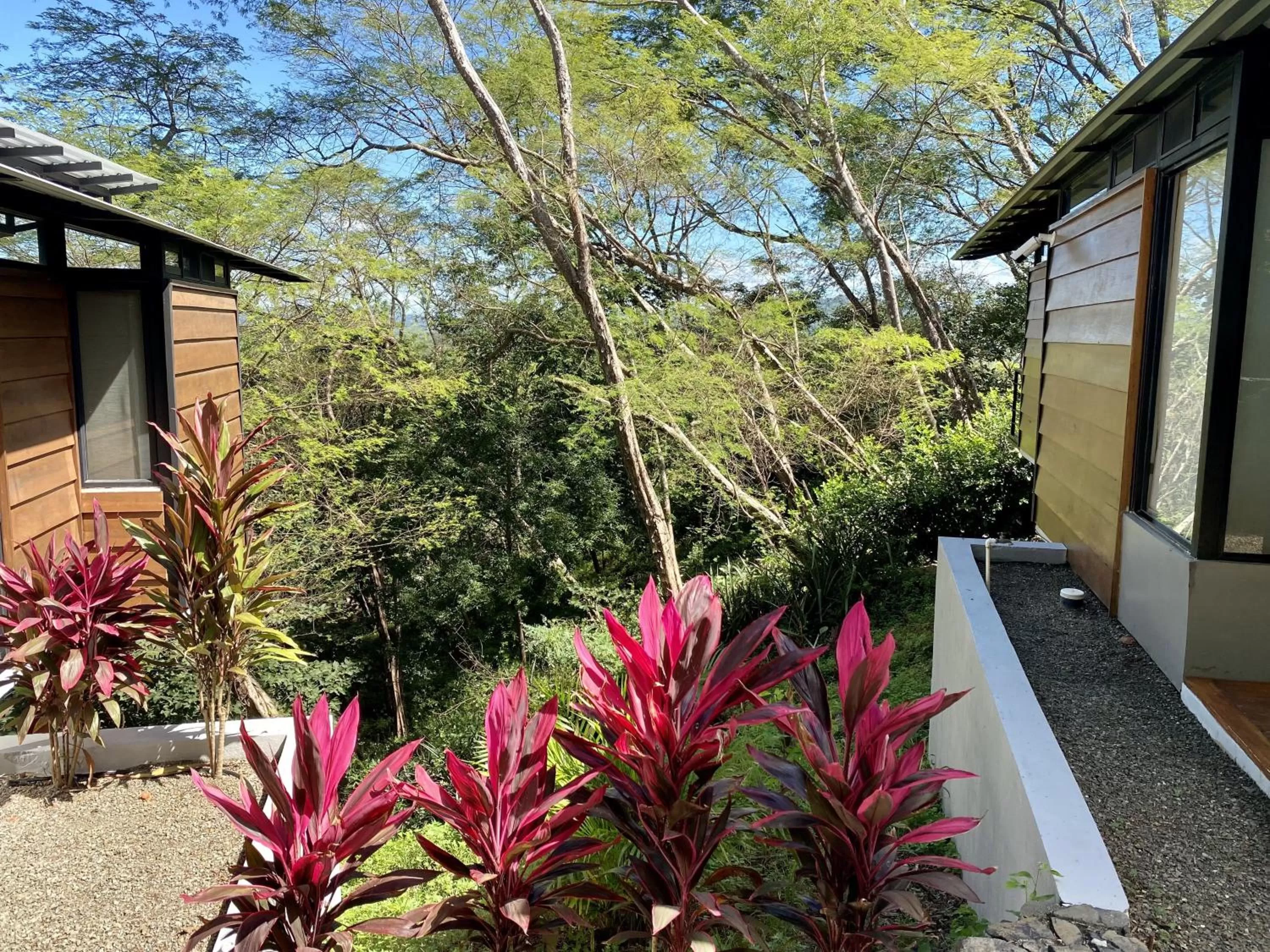 Garden view in Pacific Kalokairi - Adults Only