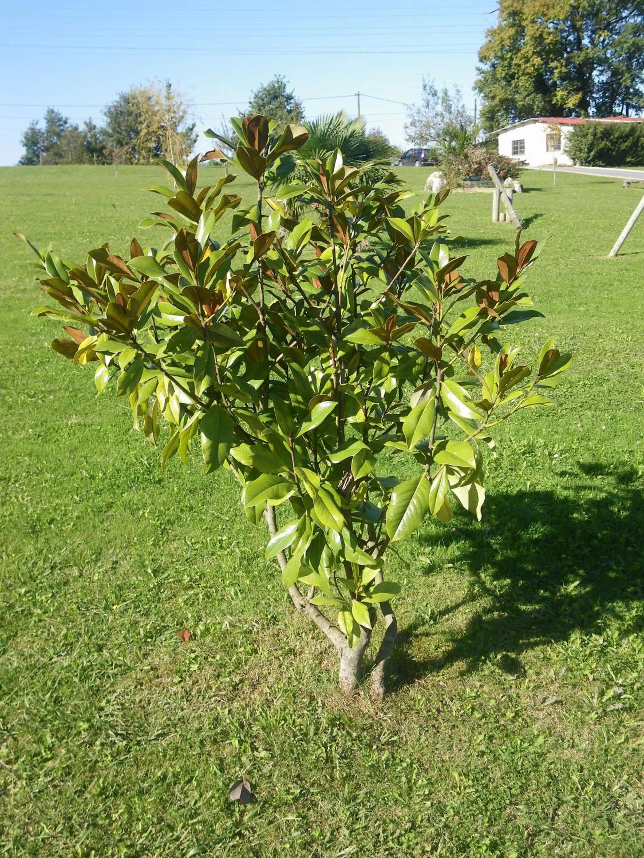 Natural landscape in Hotel Matsa B&B