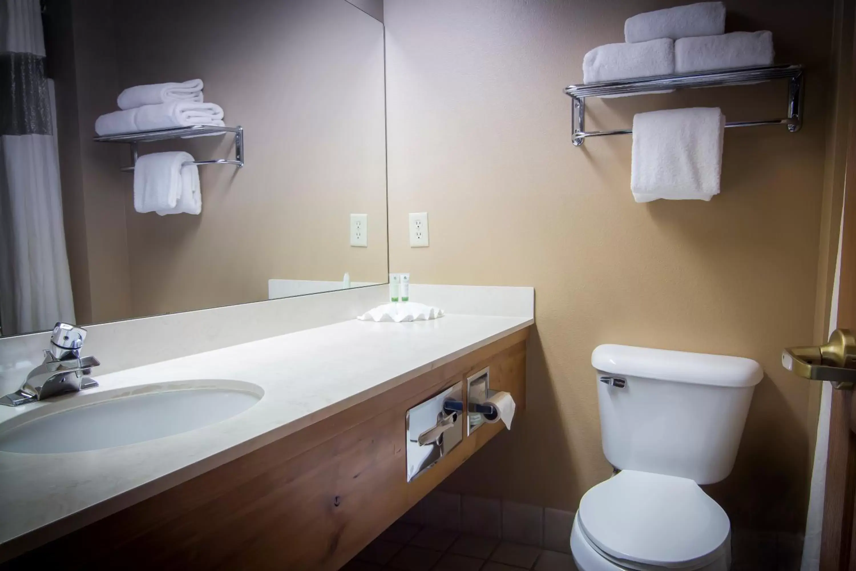 Bathroom in Bitterroot River Inn and Conference Center