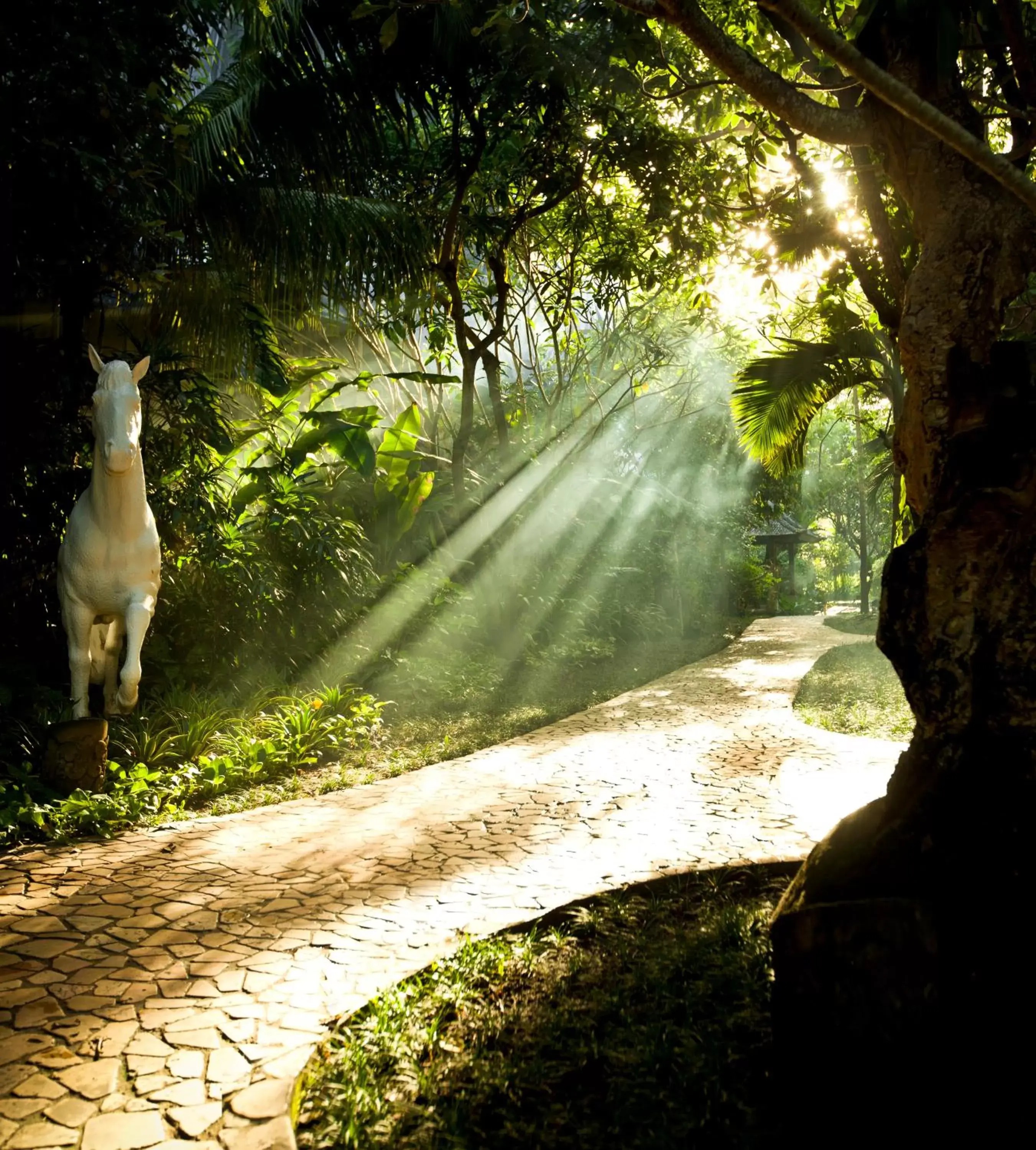 Natural landscape in Hotel Kumala Pantai - CHSE Certified