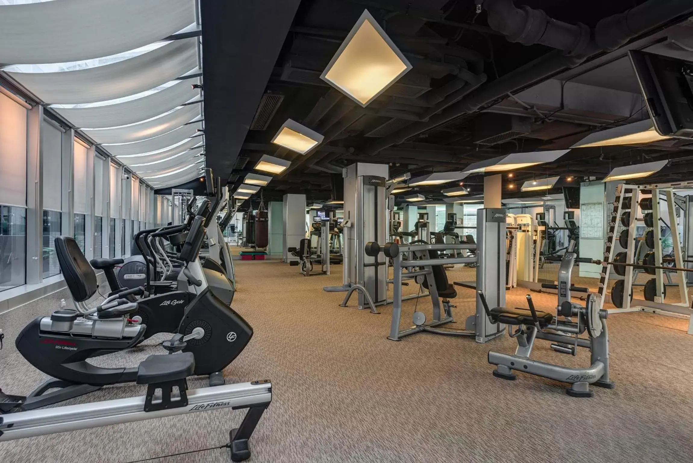 Fitness centre/facilities in Regal Airport Hotel