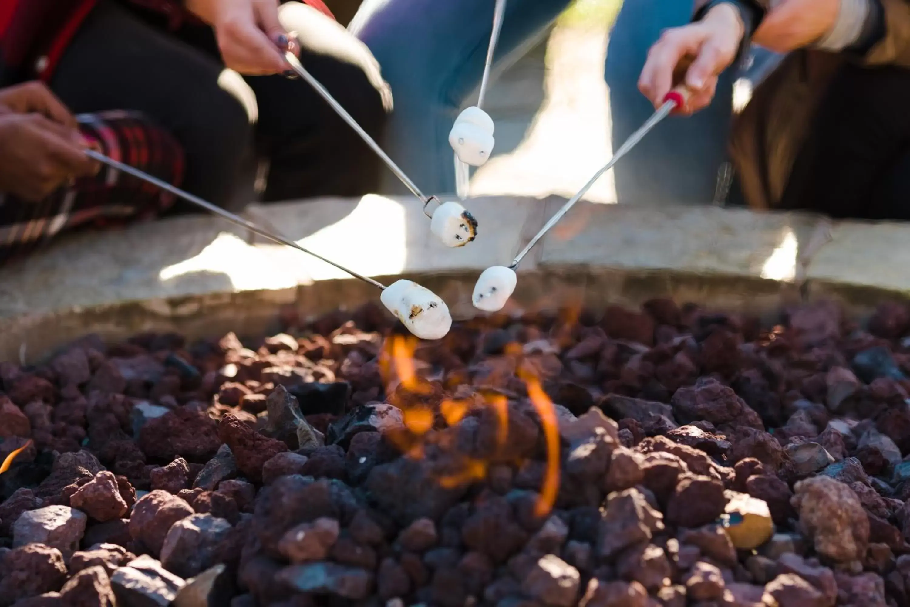 Activities in Salishan Coastal Lodge