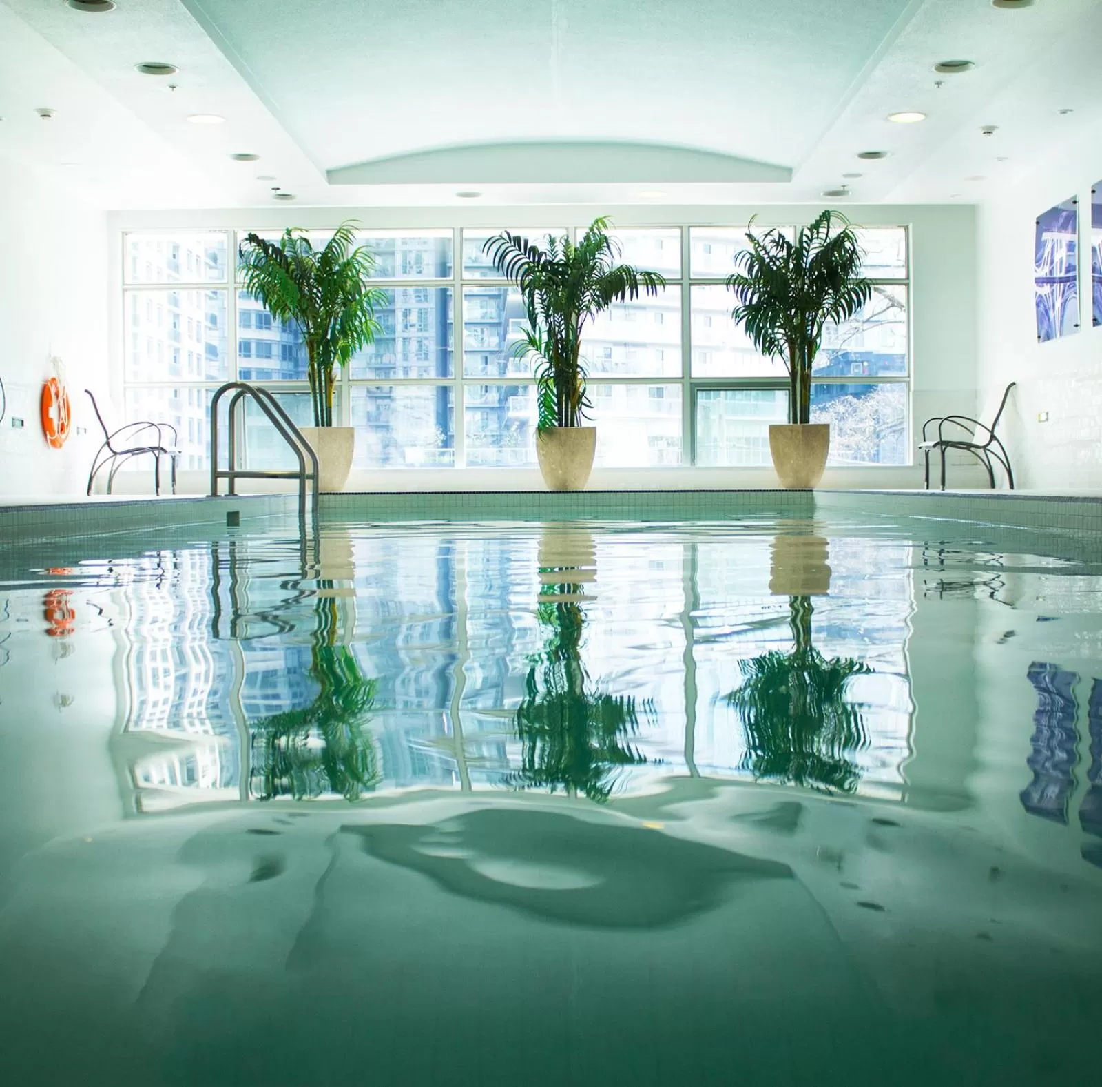 Swimming pool in SoHo Hotel Toronto