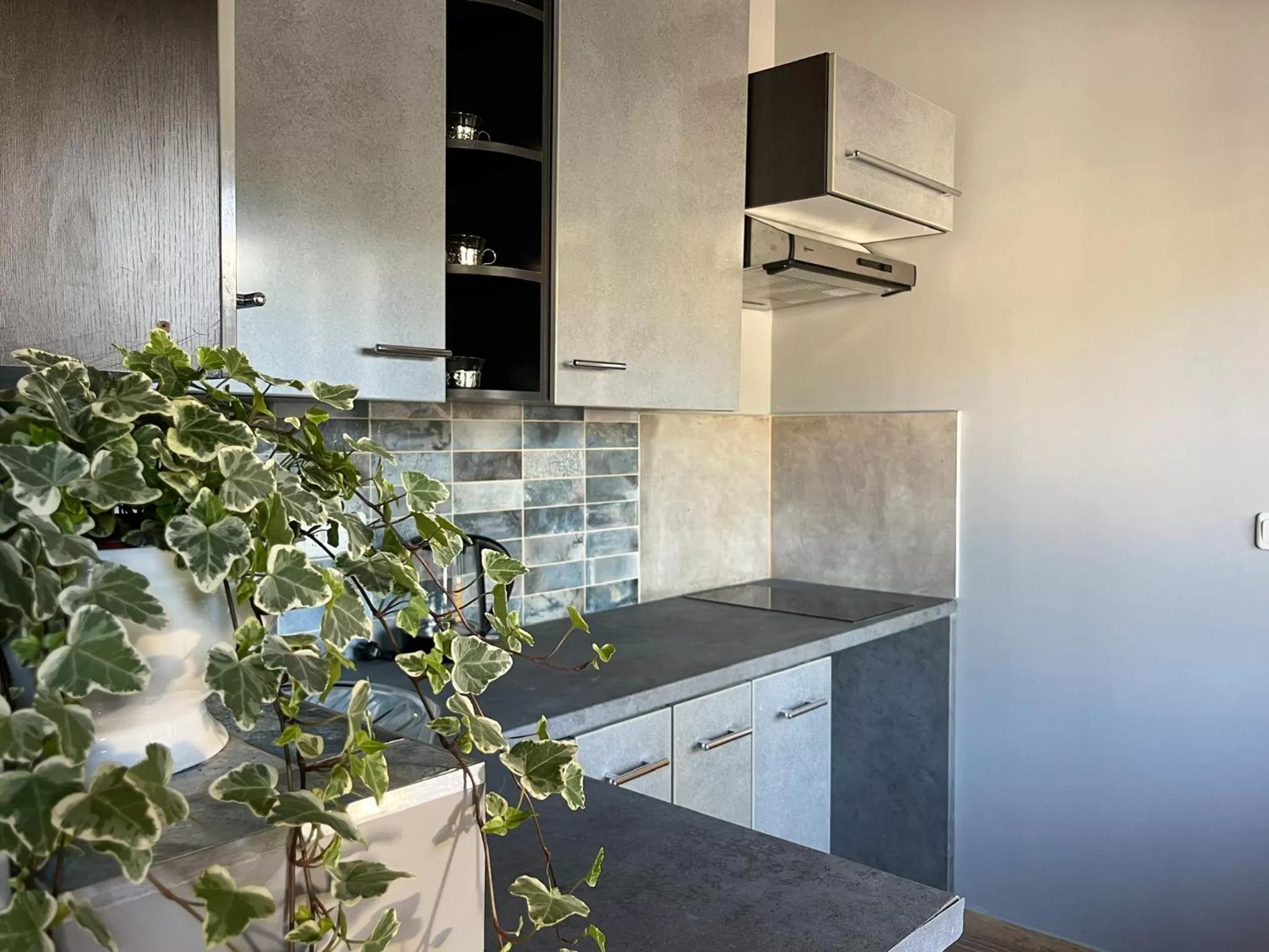 Kitchen or kitchenette in Komfort Zone