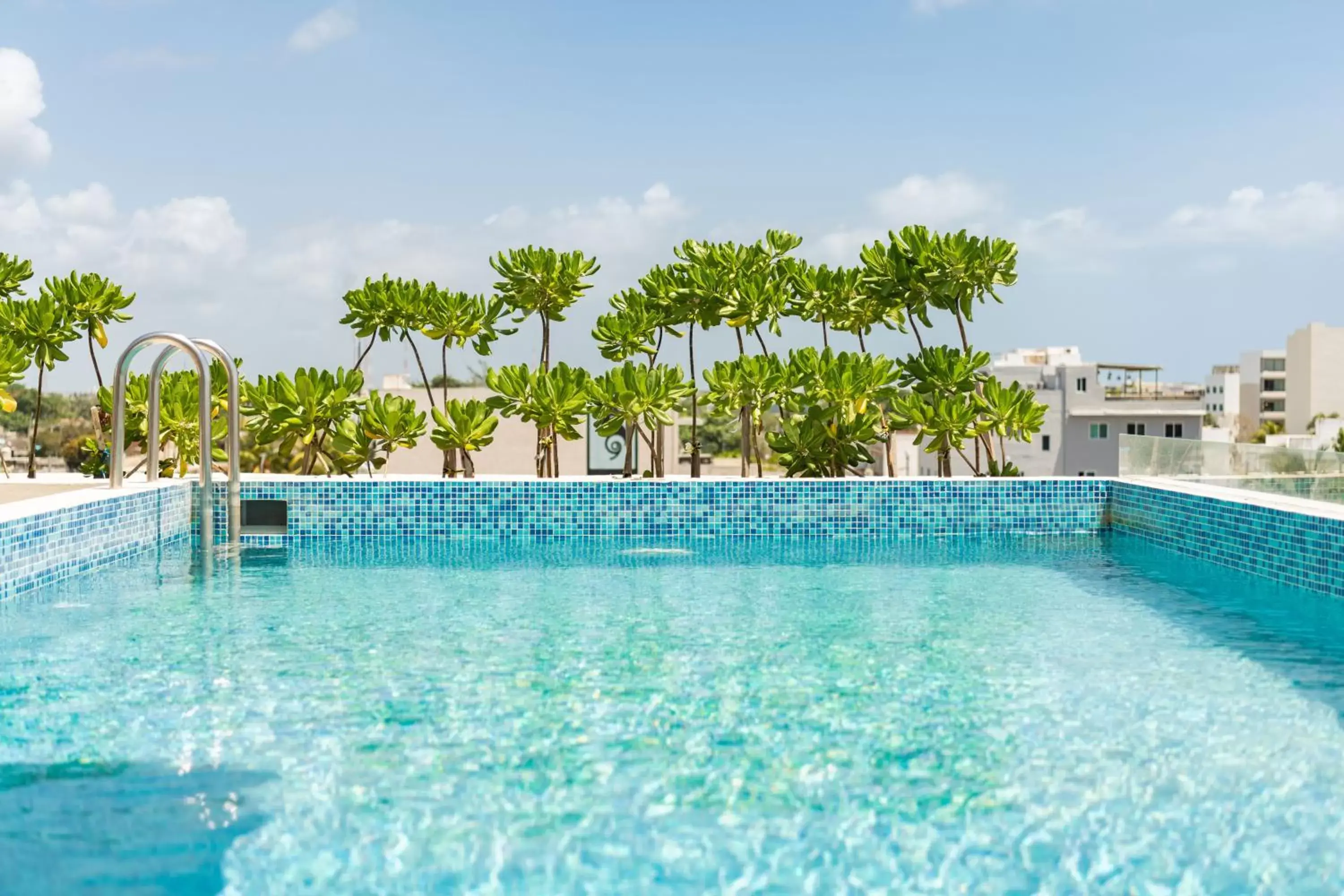 Solarium, Swimming Pool in Boho Lofts & Studios