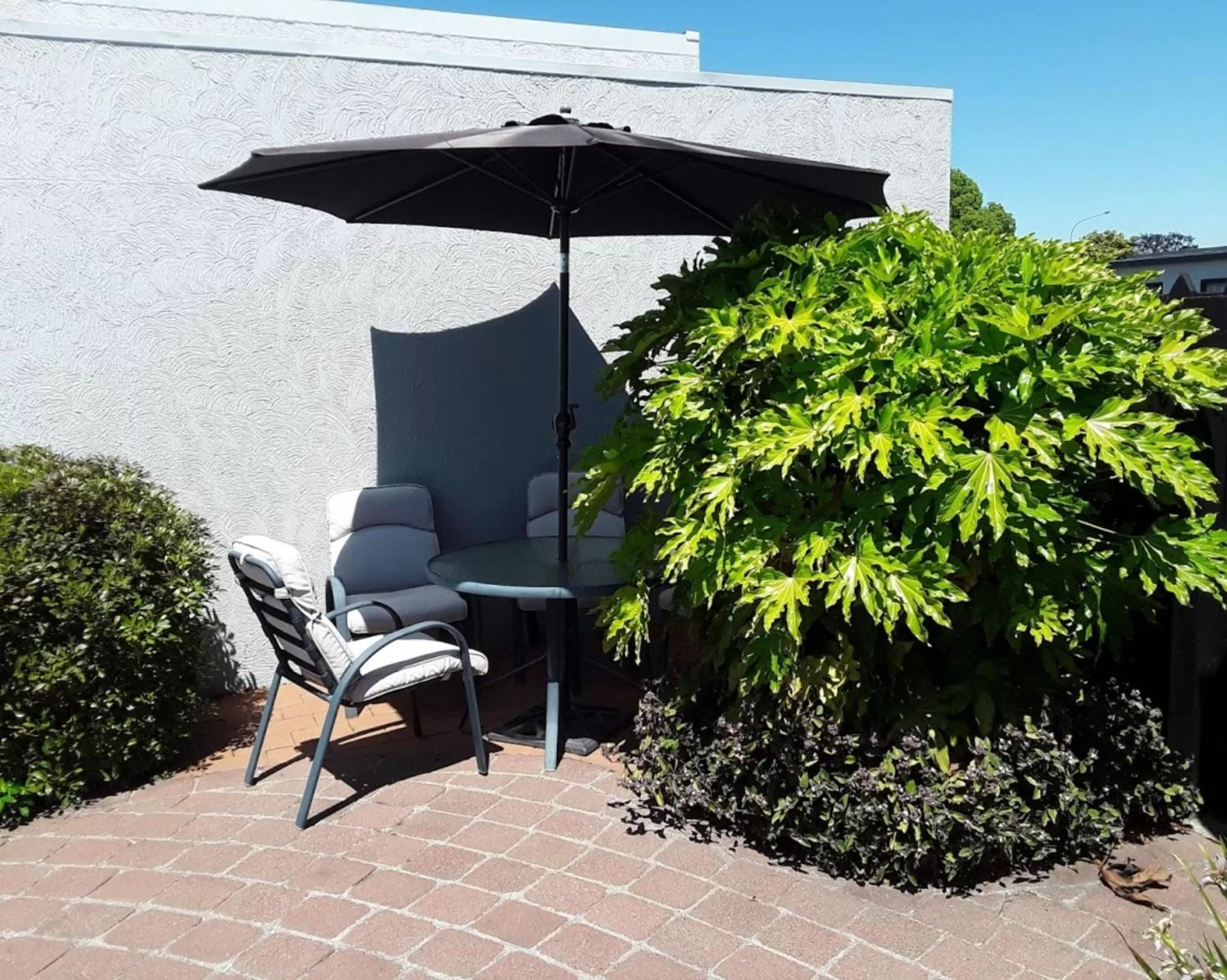 Garden in Sundowner Motel