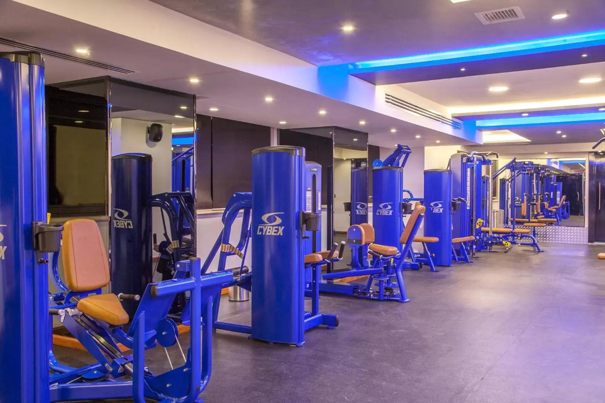 Fitness centre/facilities, Fitness Center/Facilities in Harir Palace Hotel