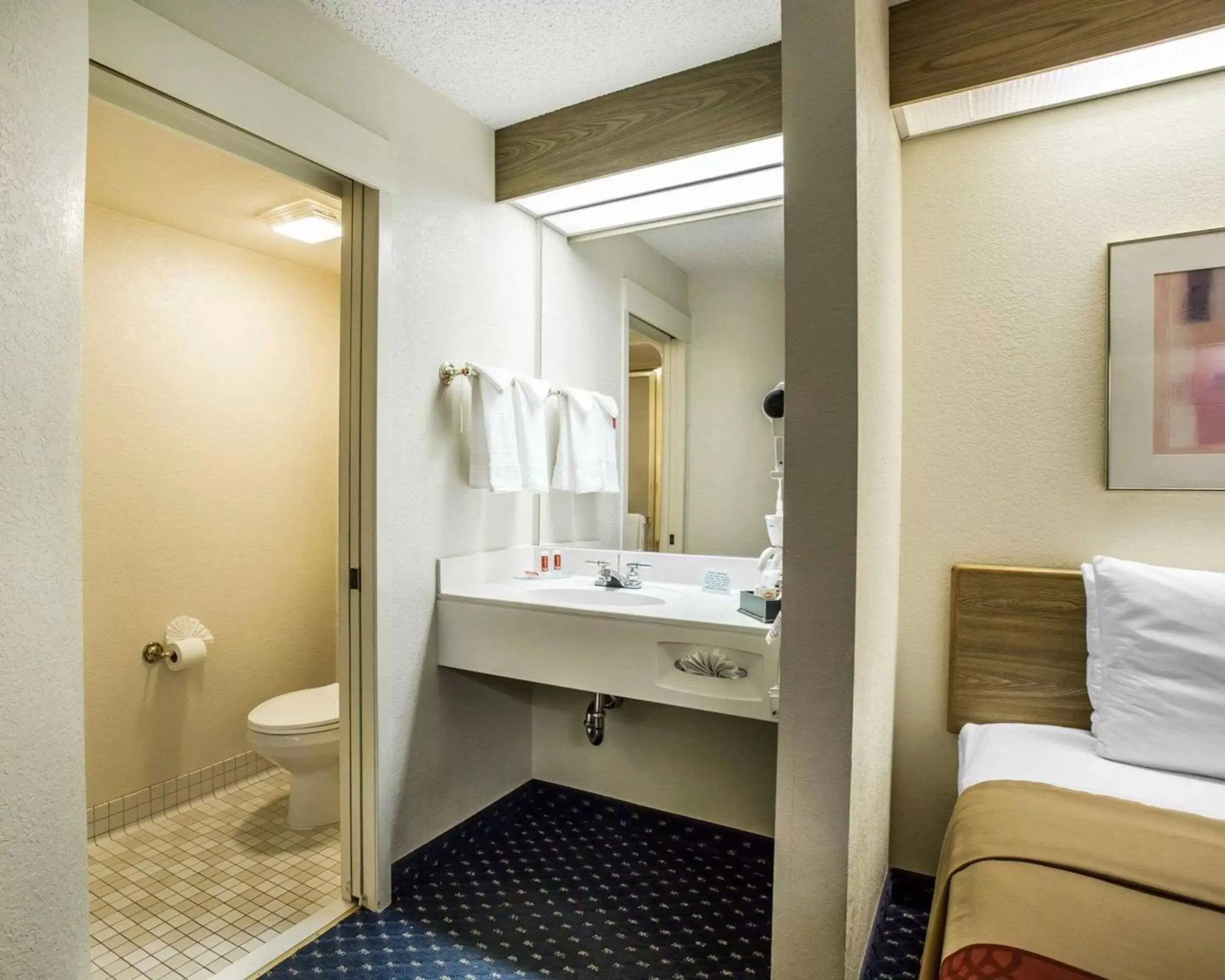 Bathroom in Econo Lodge Denver International Airport
