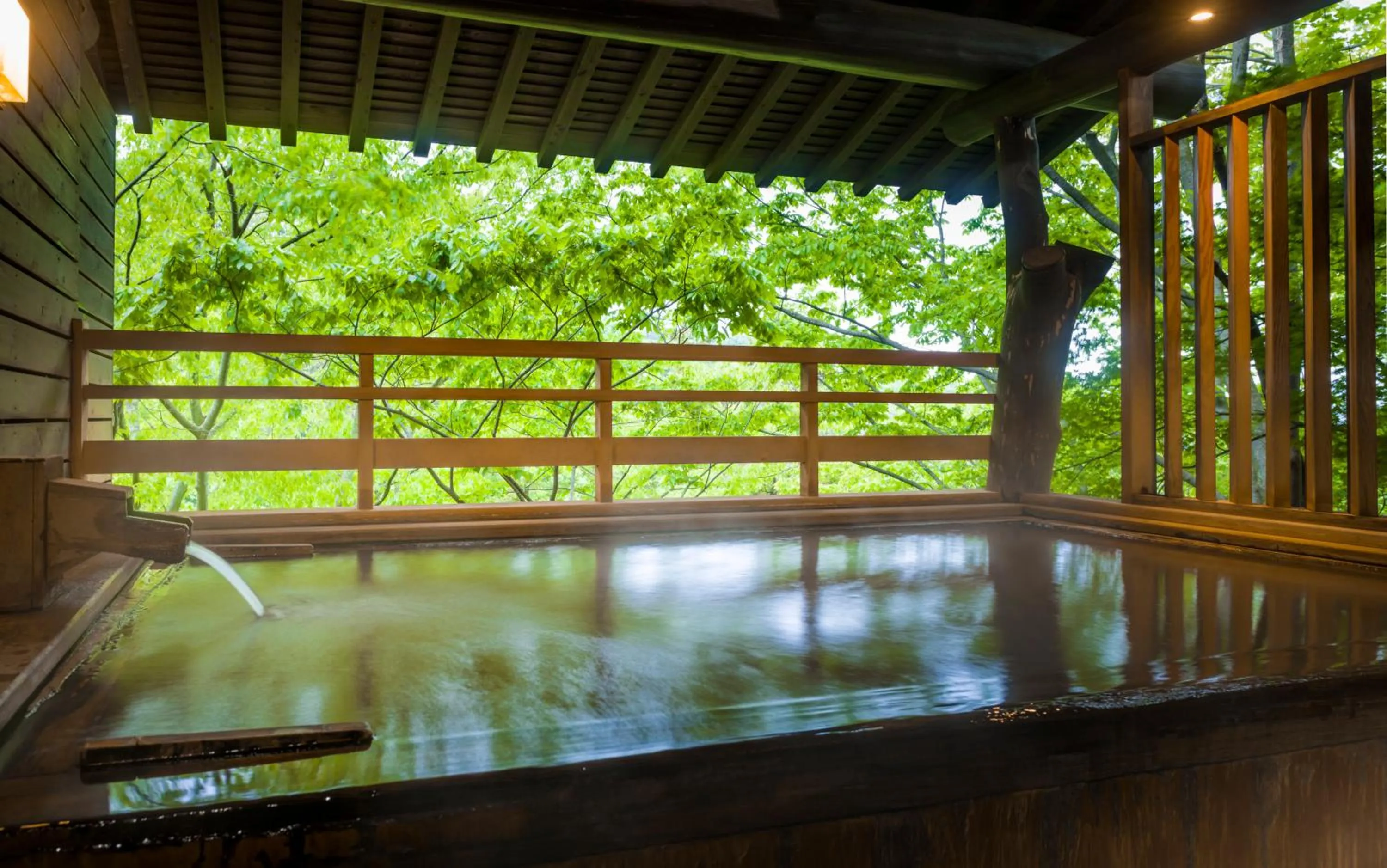 Hot Spring Bath in Kishigon Ryokan