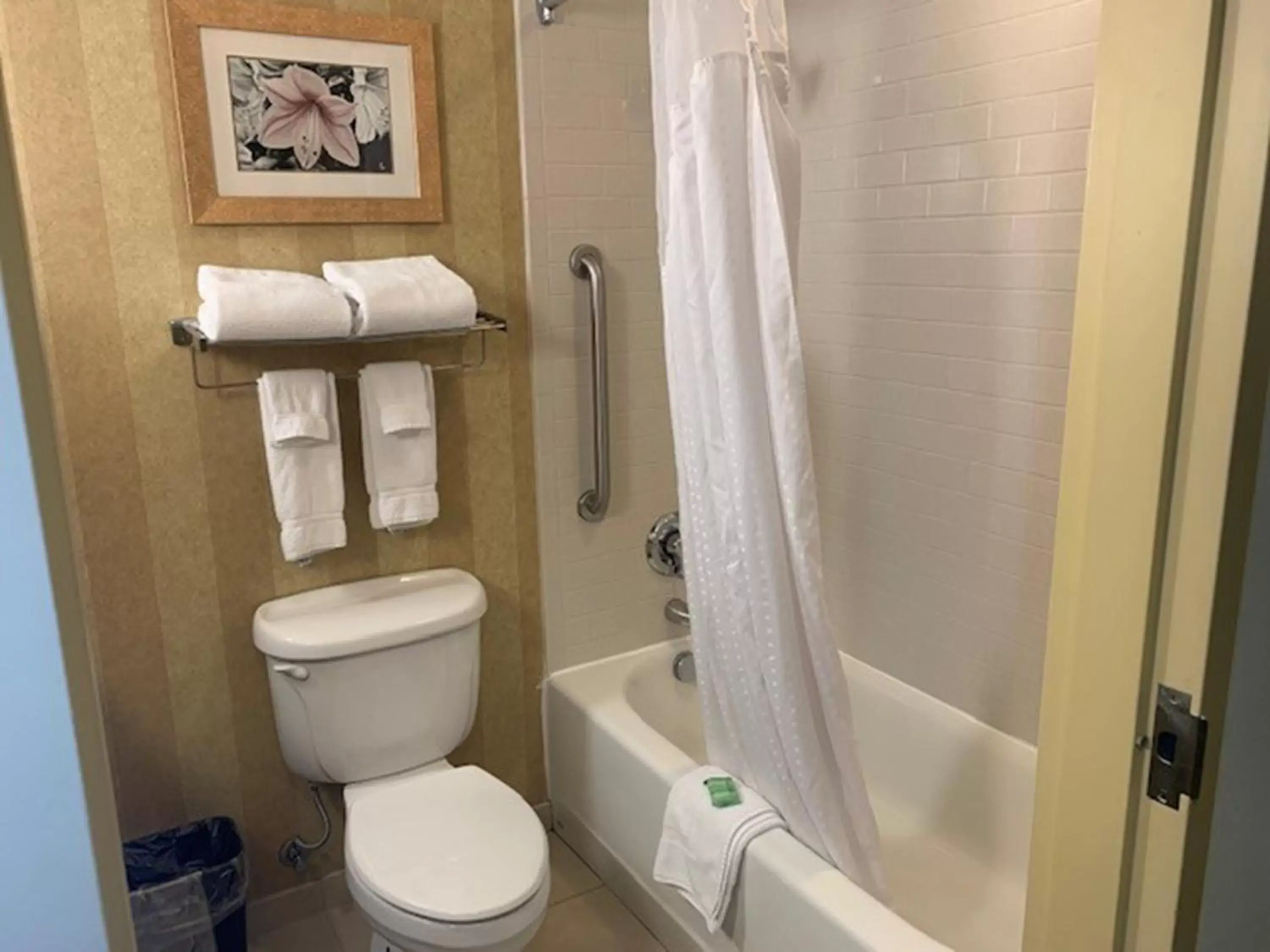 Bathroom in Holiday Inn Saint Louis-Fairview Heights, an IHG Hotel