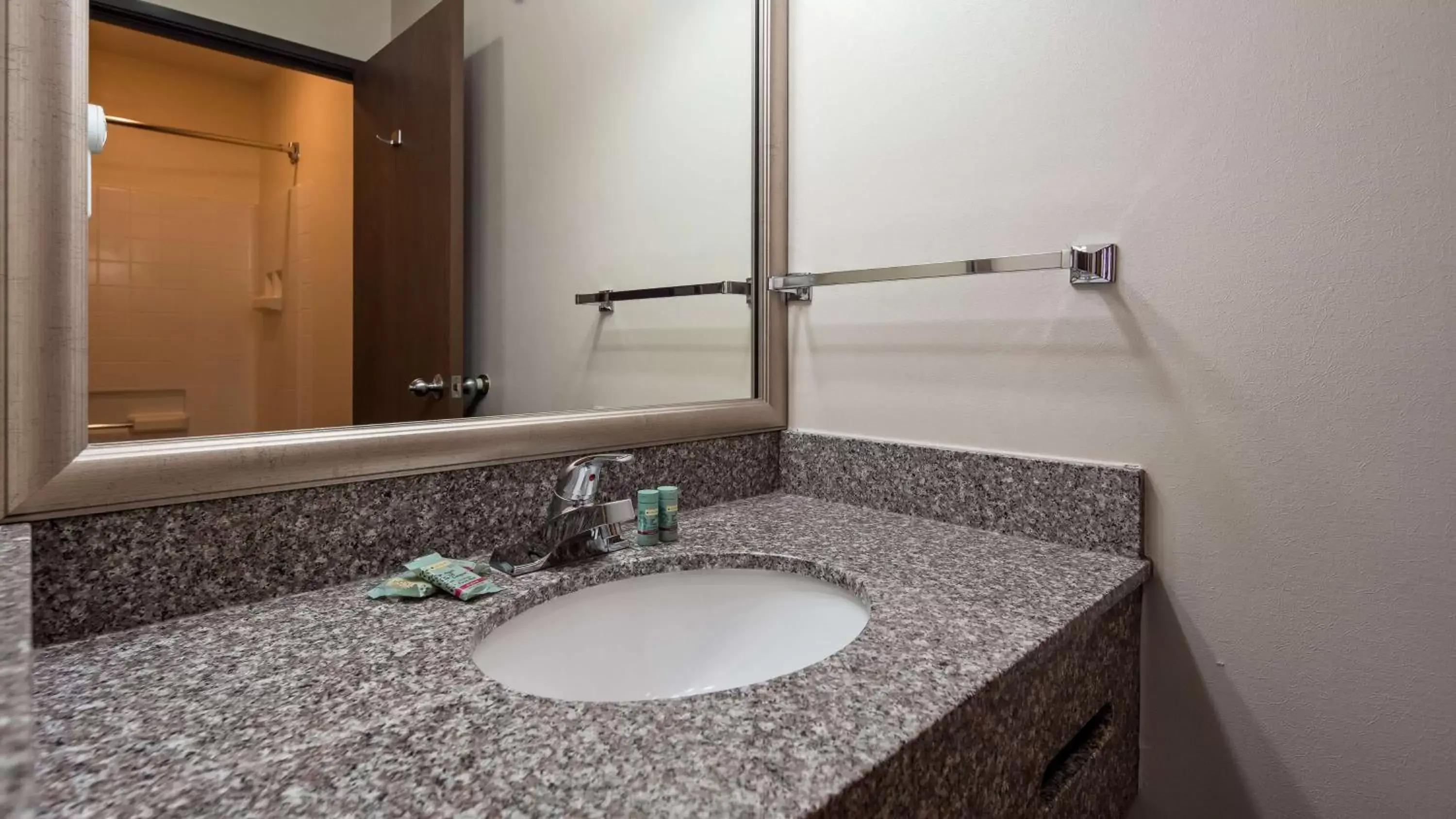 Bathroom in Best Western Socorro Hotel & Suites