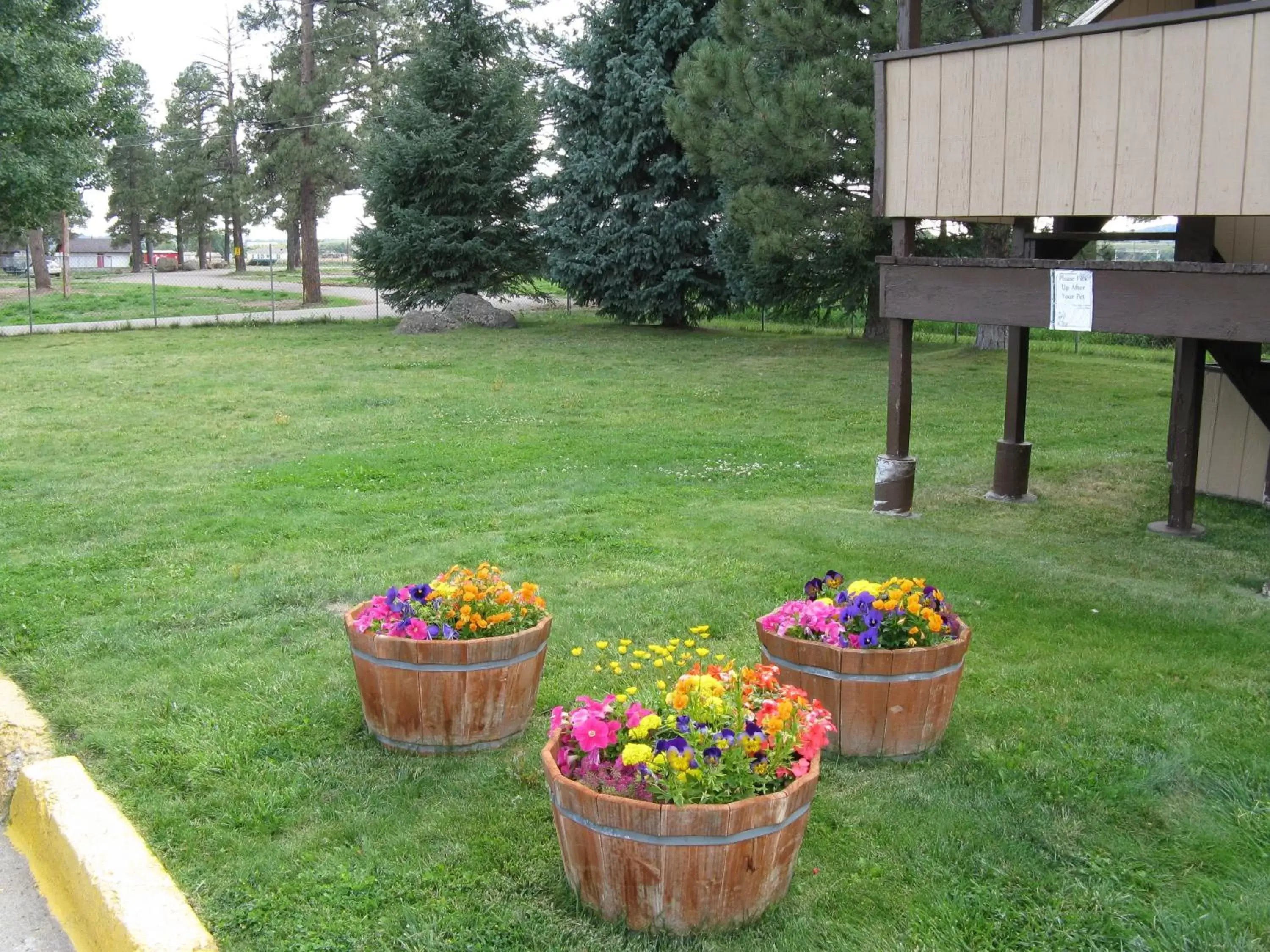 Area and facilities, Garden in Branding Iron Motel