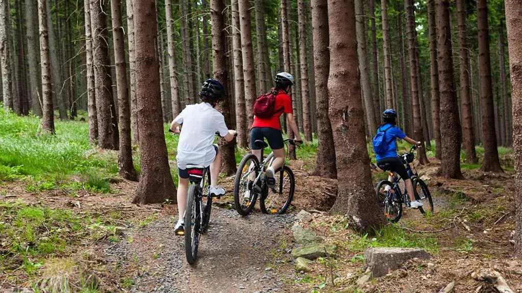 Cycling, Biking in Hotel Iris Crillon