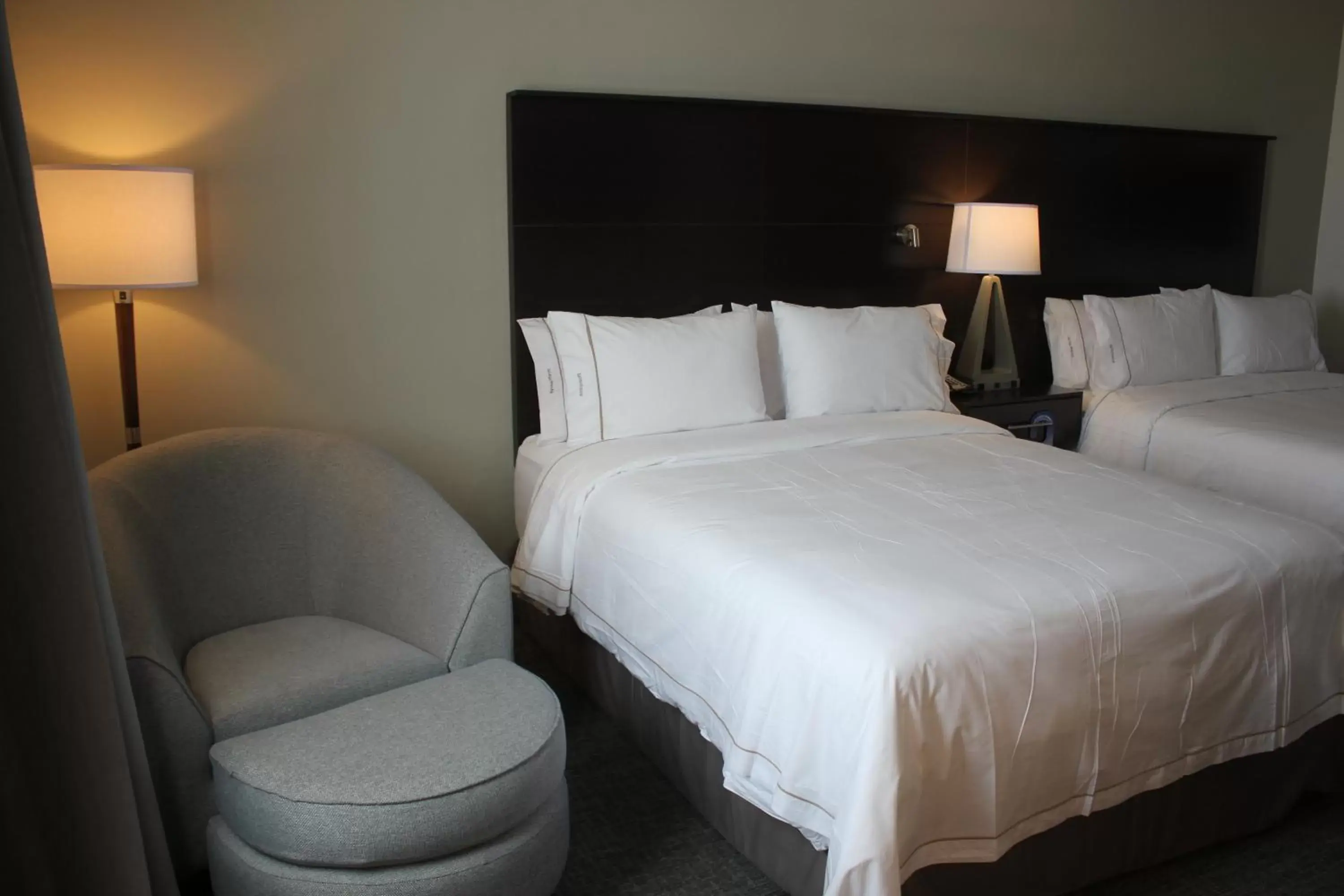 Photo of the whole room, Bed in Holiday Inn Express & Suites Silao Aeropuerto Terminal, an IHG Hotel