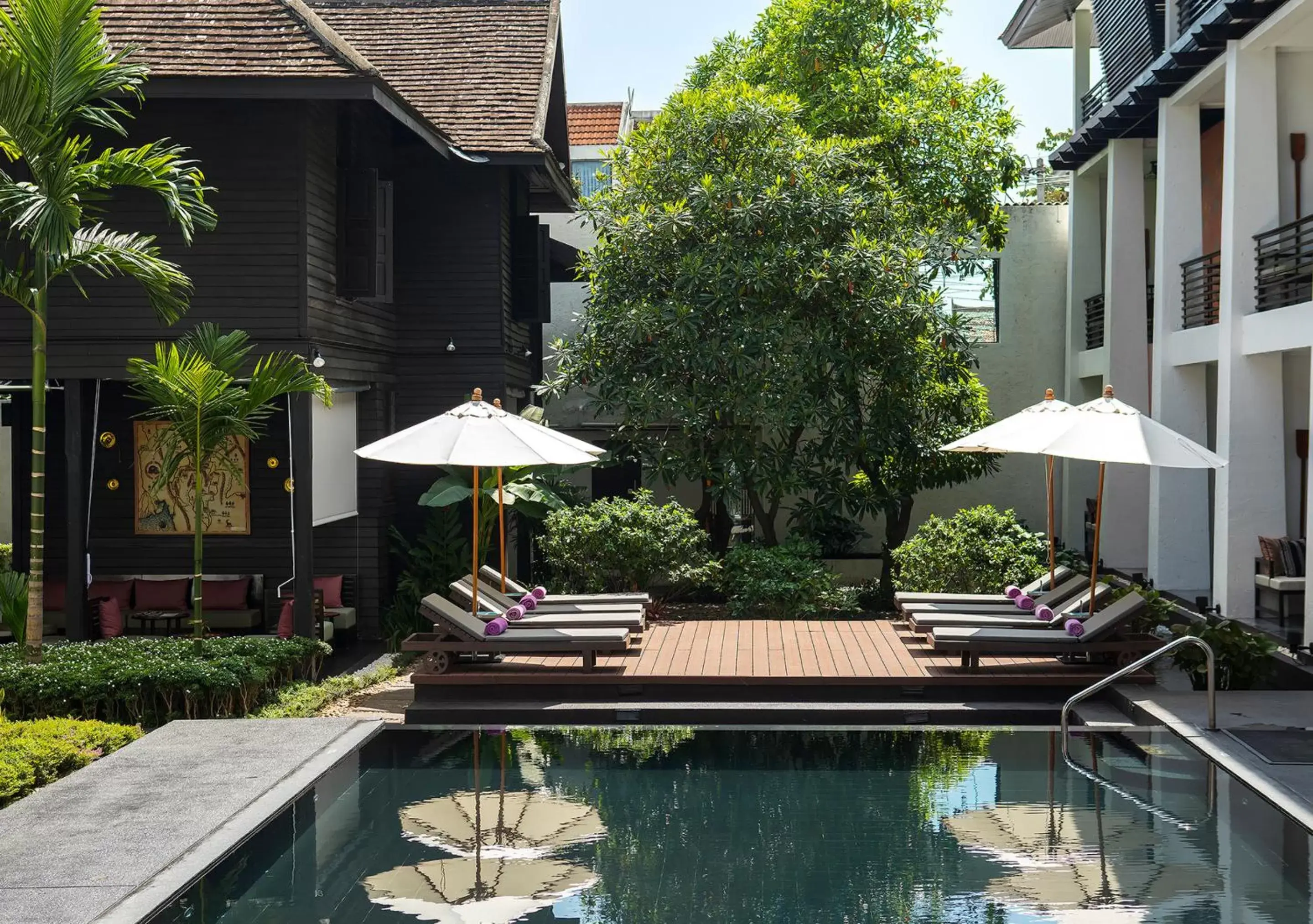 Pool view, Swimming Pool in U Chiang Mai