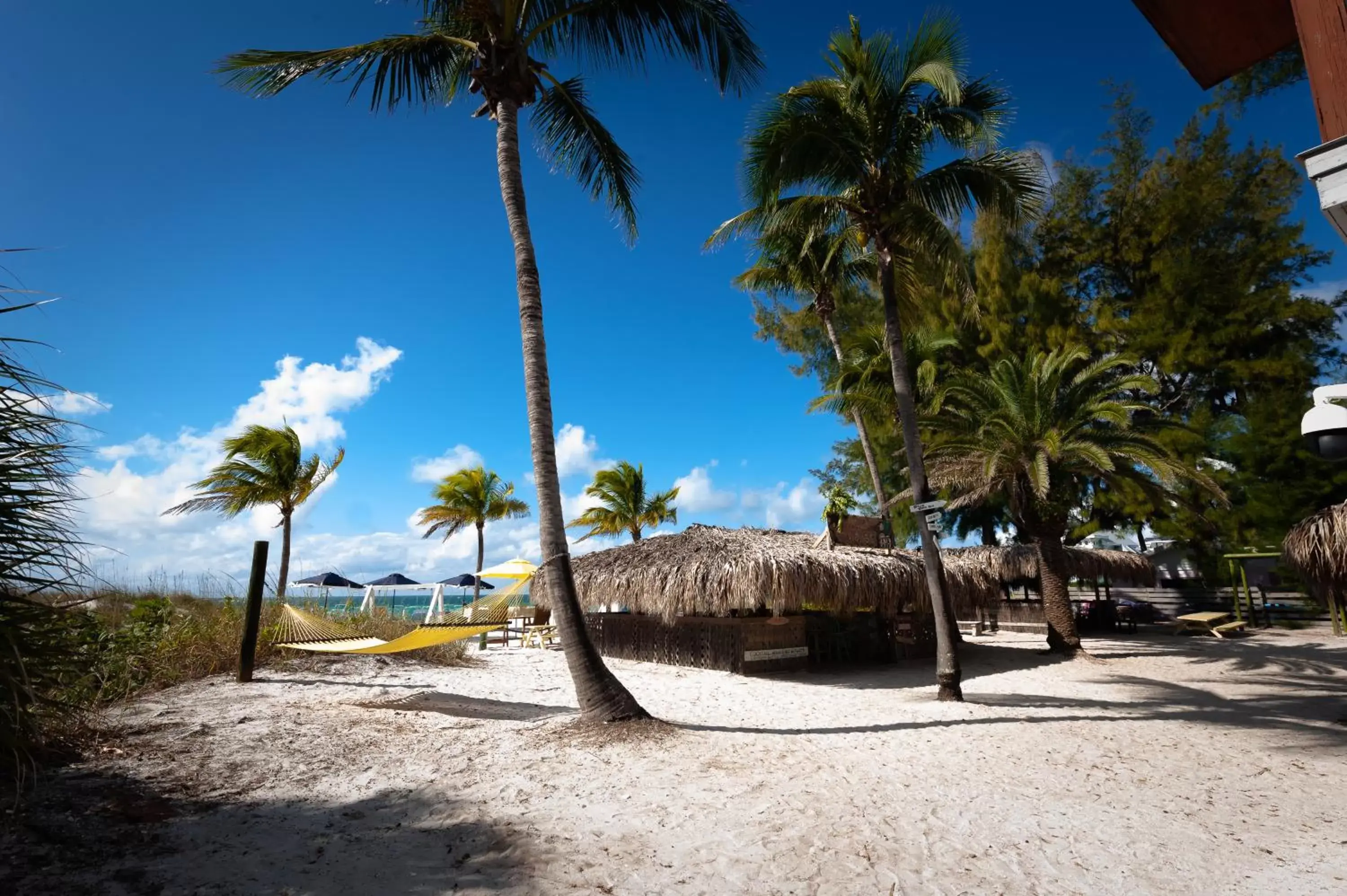 Beach in Cedar Cove Resort & Cottages