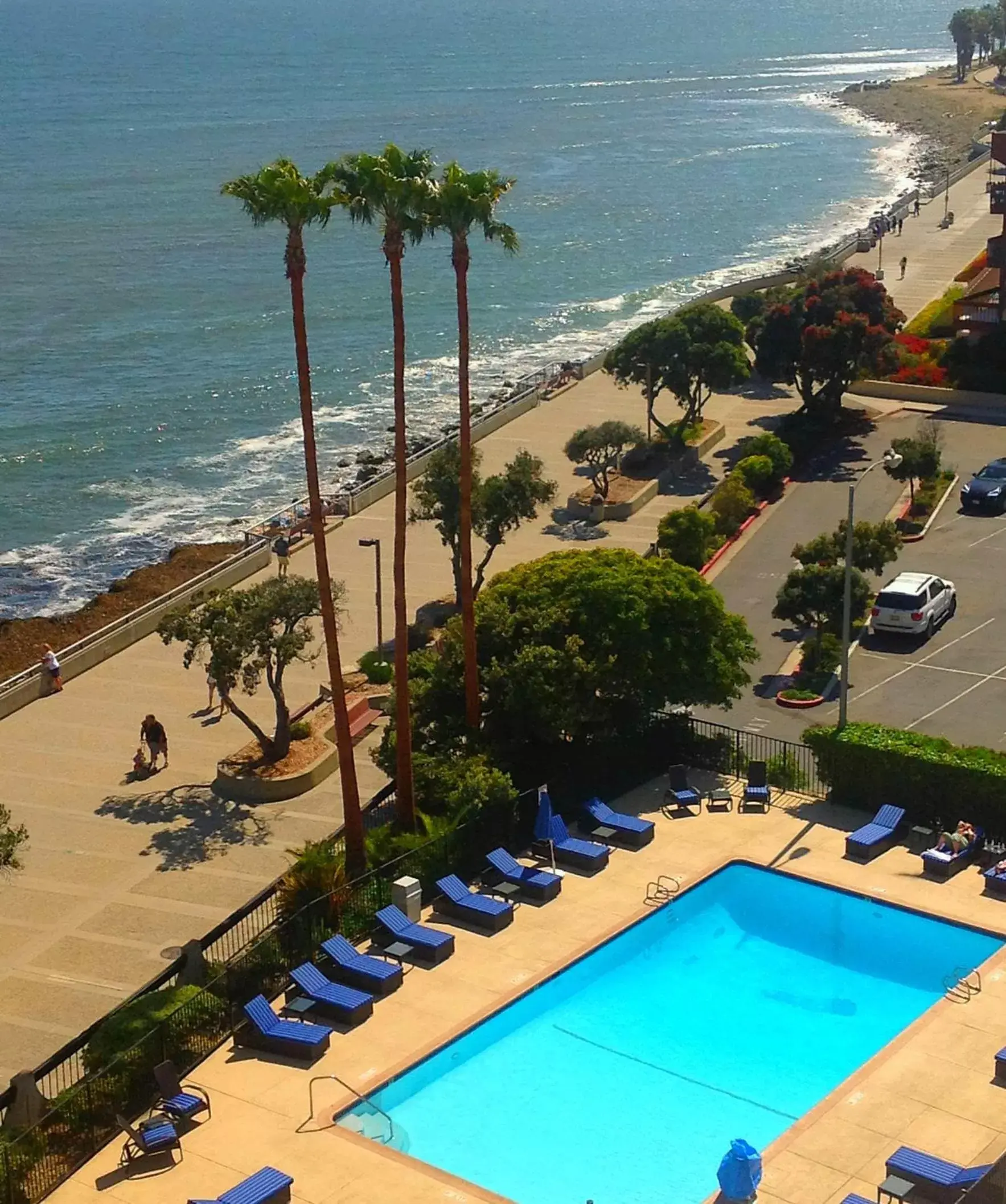 Swimming pool in Crowne Plaza Ventura Beach by IHG Swimming pool in Crowne Plaza Ventura Beach by IHG