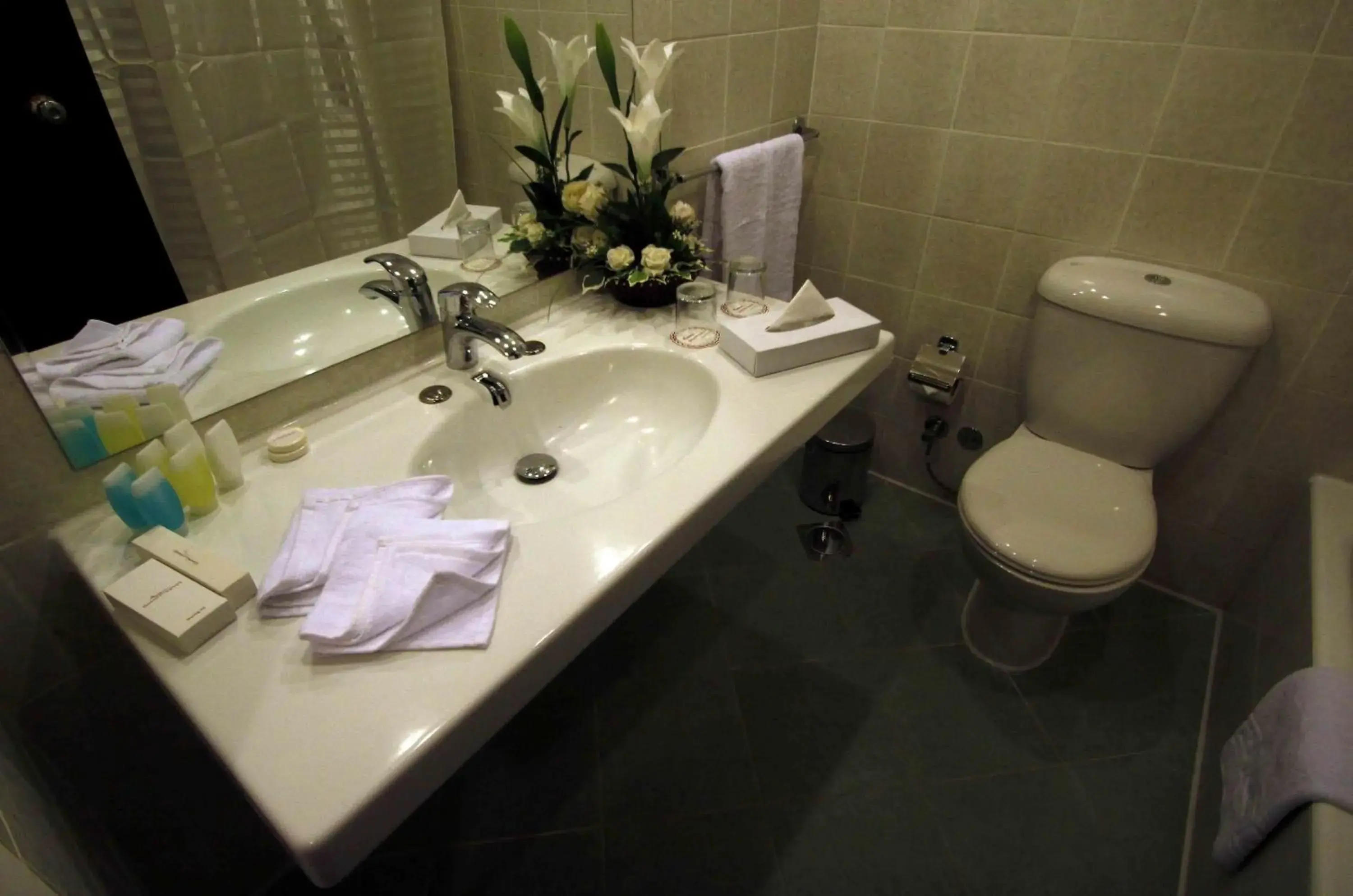 Toilet, Bathroom in Horizon Shahrazad Hotel