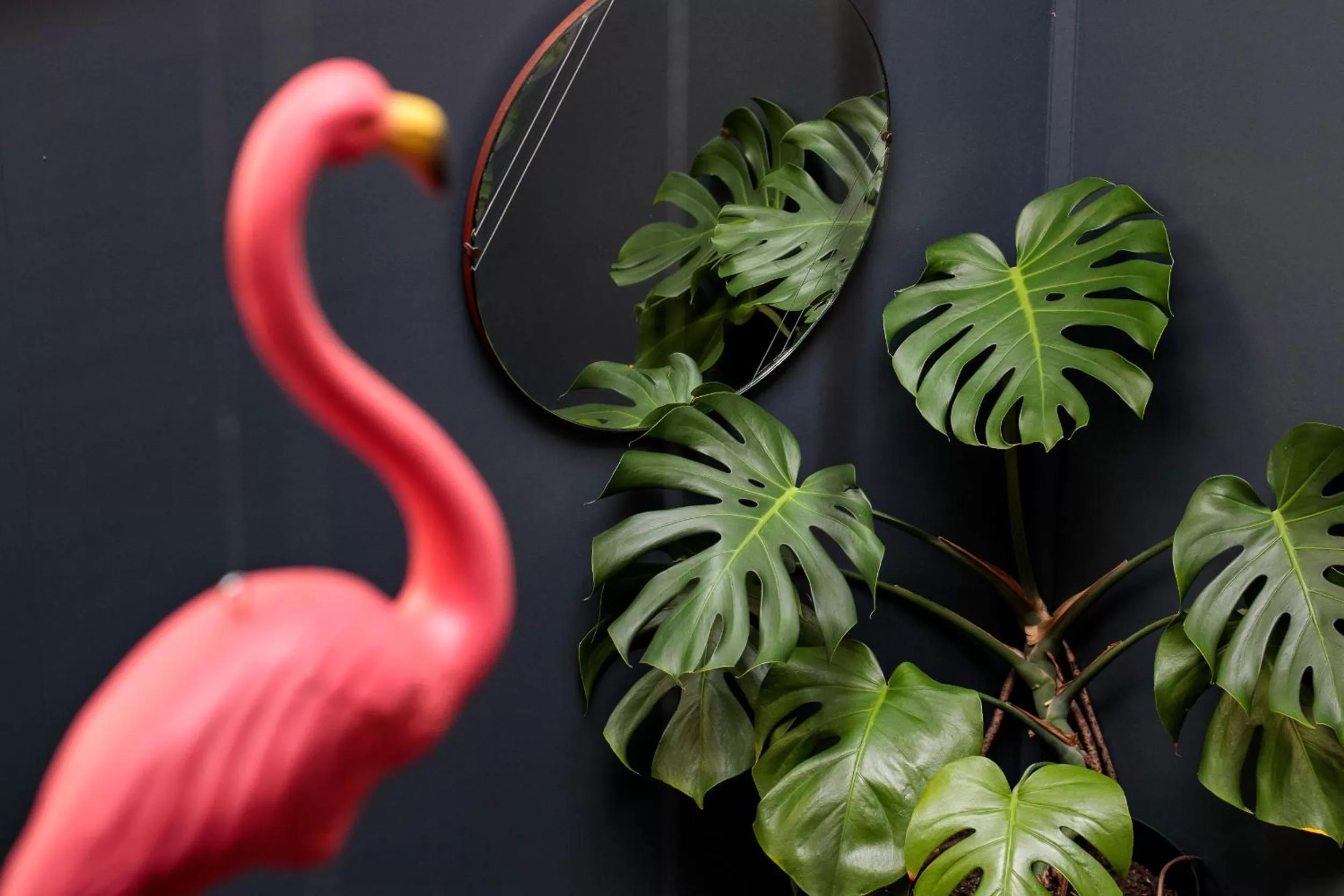 Decorative detail in Alabama Hotel Hobart