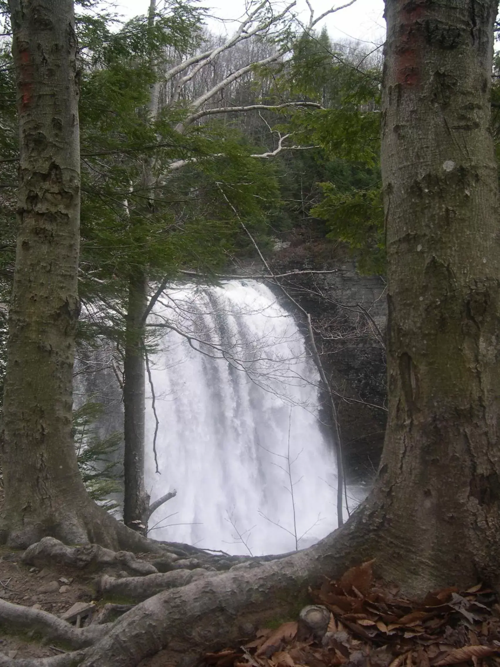 Nearby landmark in Tug Hill Resort