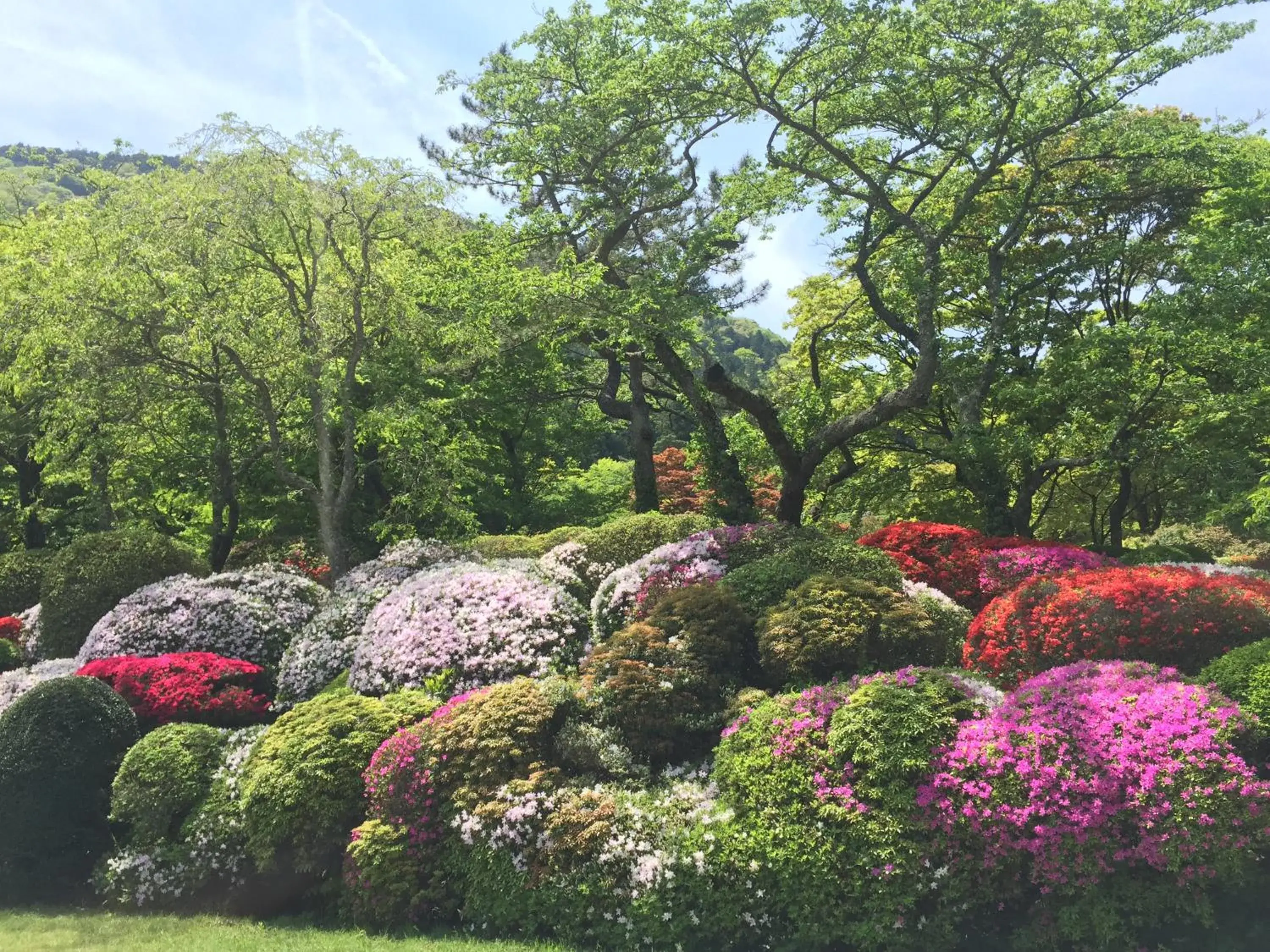 Garden in Hakone Kowakien Miyamafurin