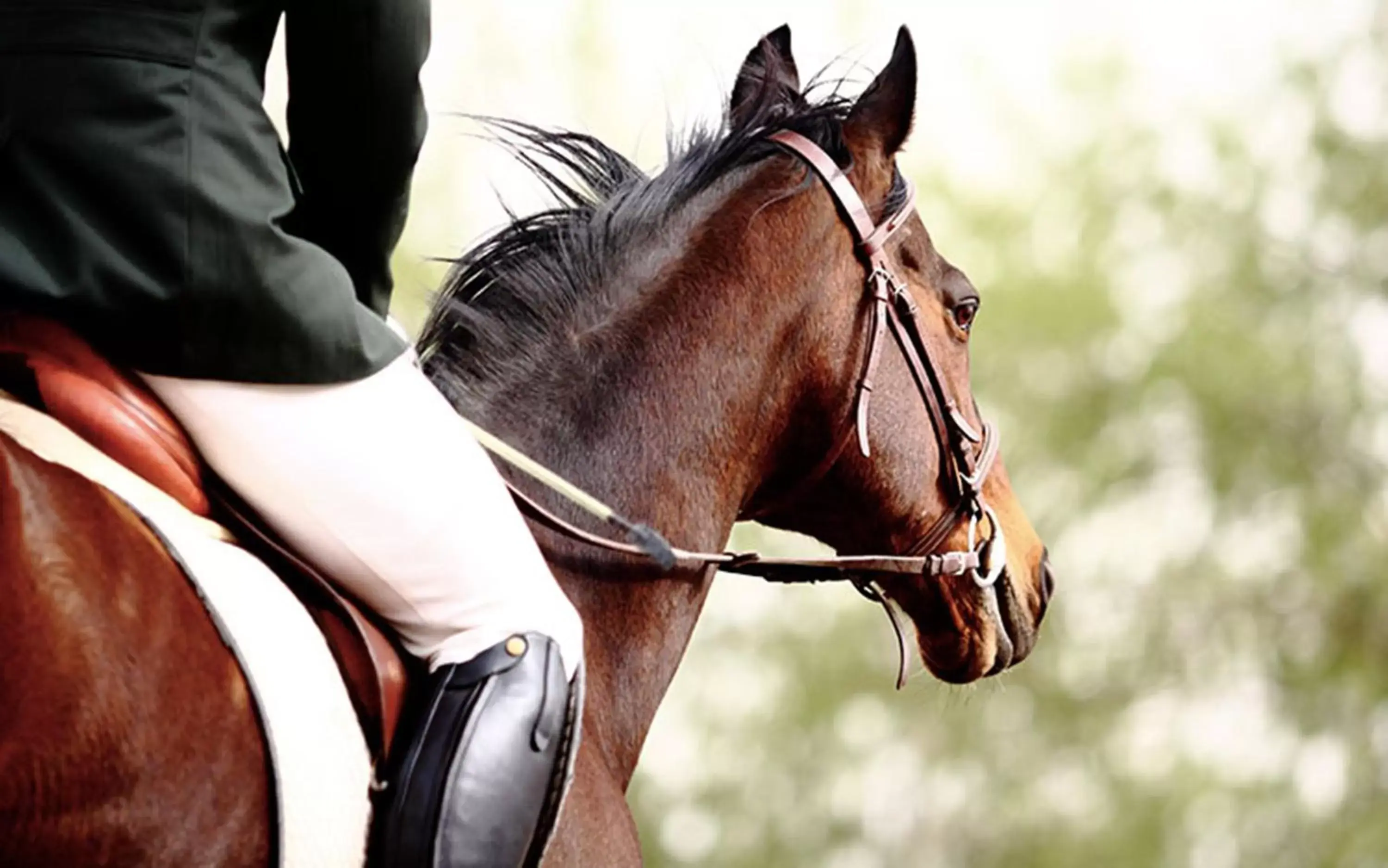 Activities, Horseback Riding in Baglioni Hotel London - The Leading Hotels of the World