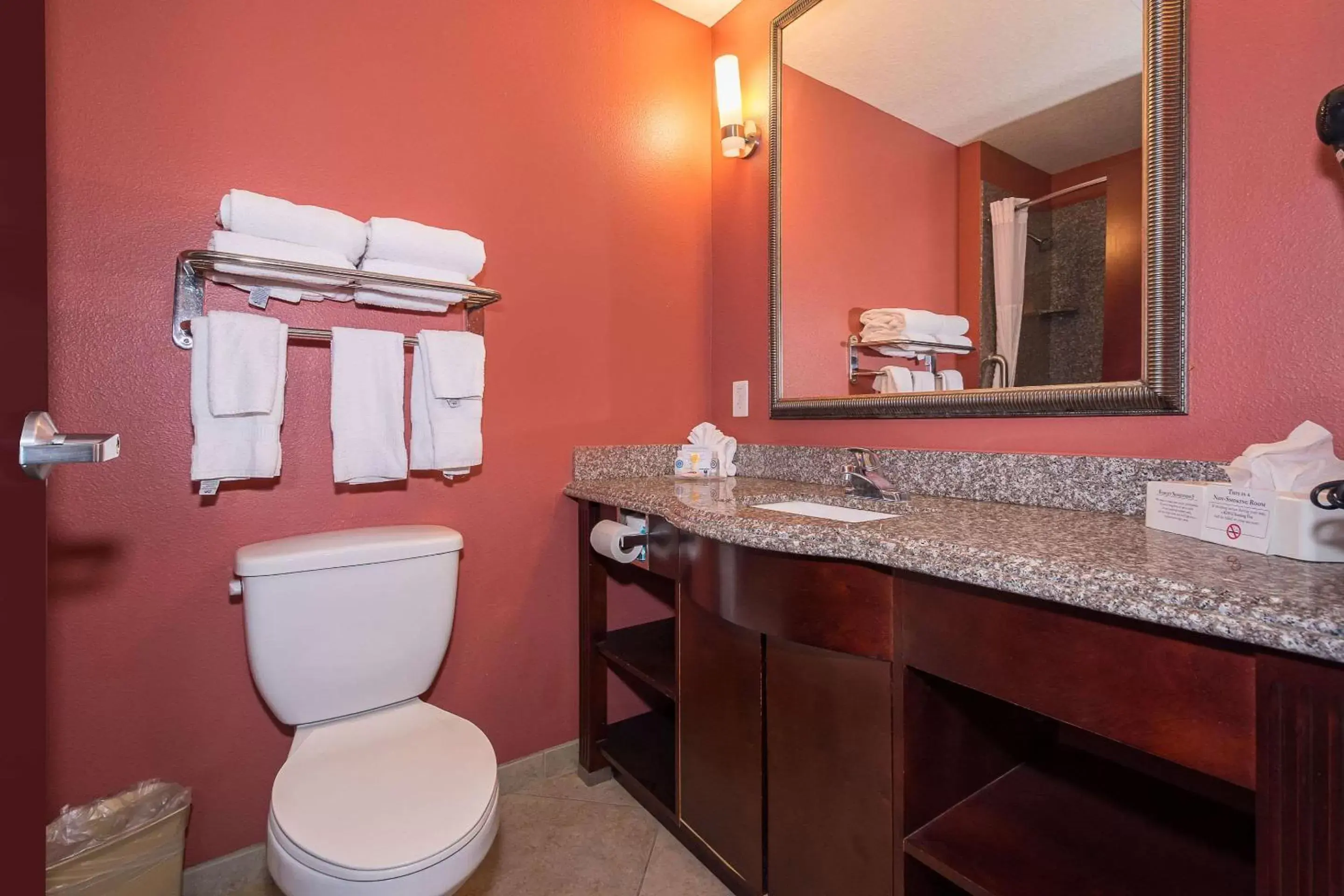 Bathroom in Comfort Inn & Suites Maingate South