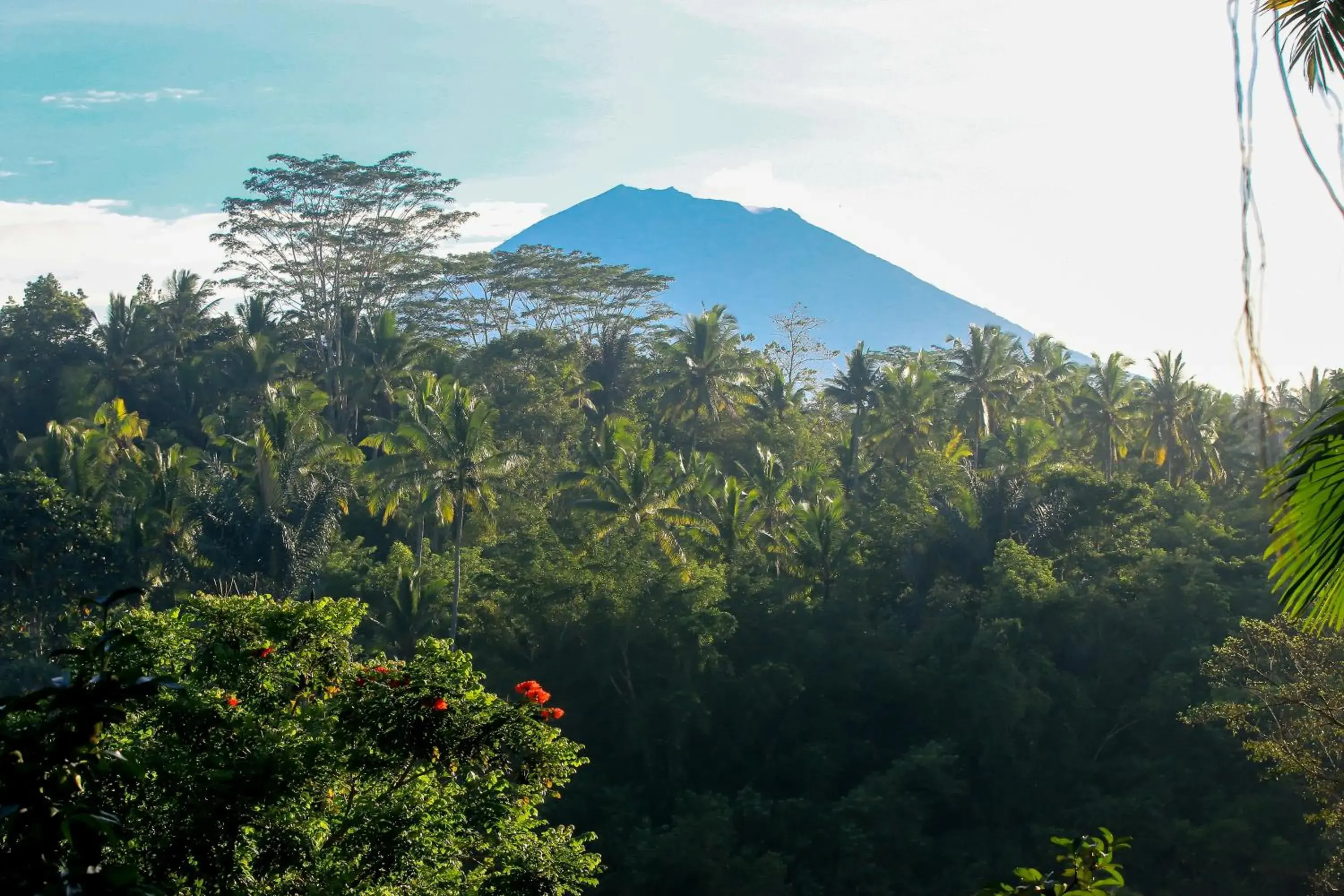 View (from property/room), Mountain View in The Payogan Villa Resort and Spa