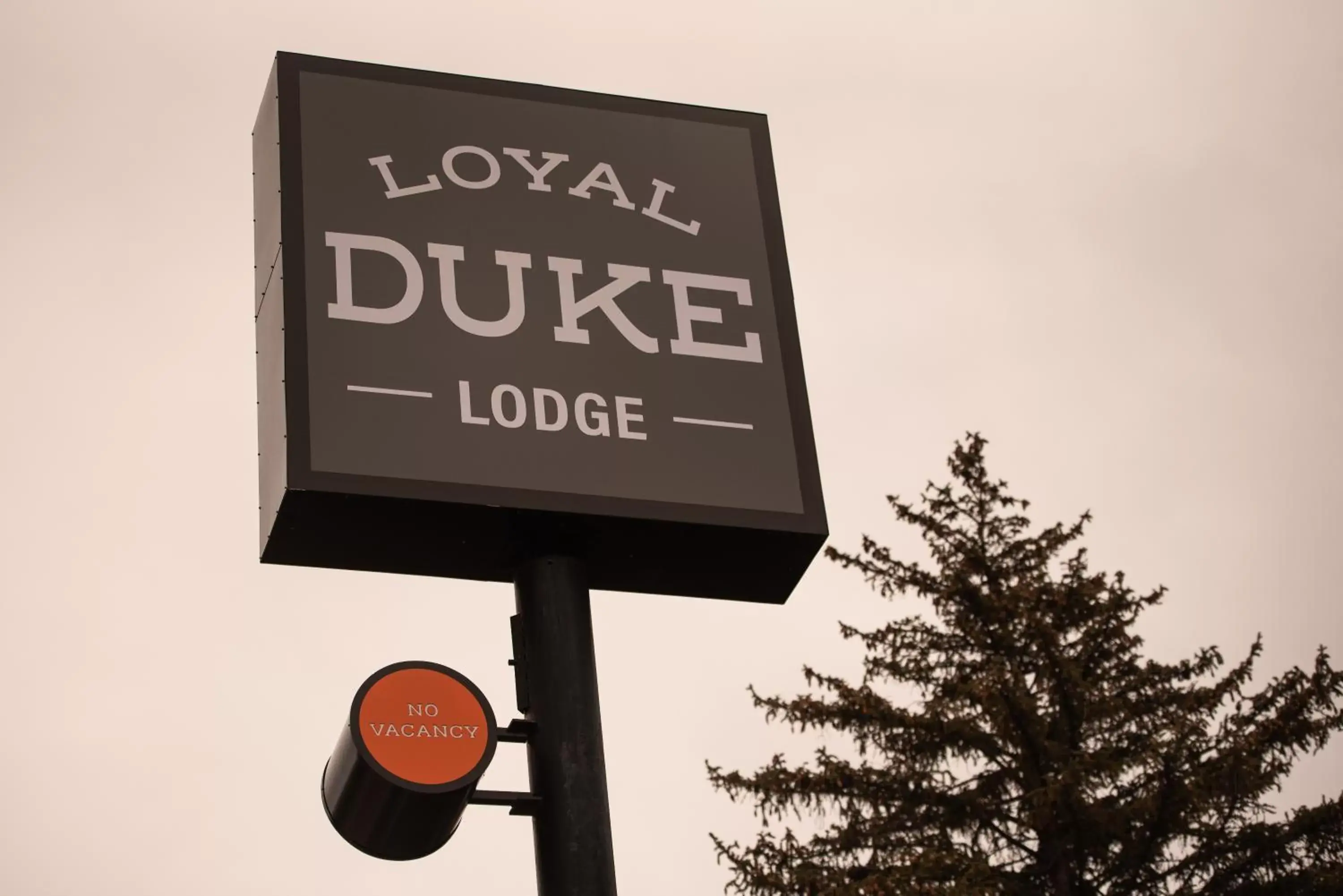 Property logo or sign in Loyal Duke Lodge