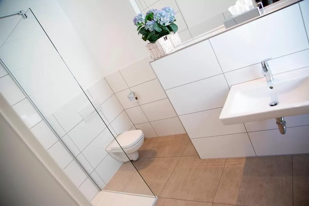 Shower in Hotel Zum Goldenen Stern