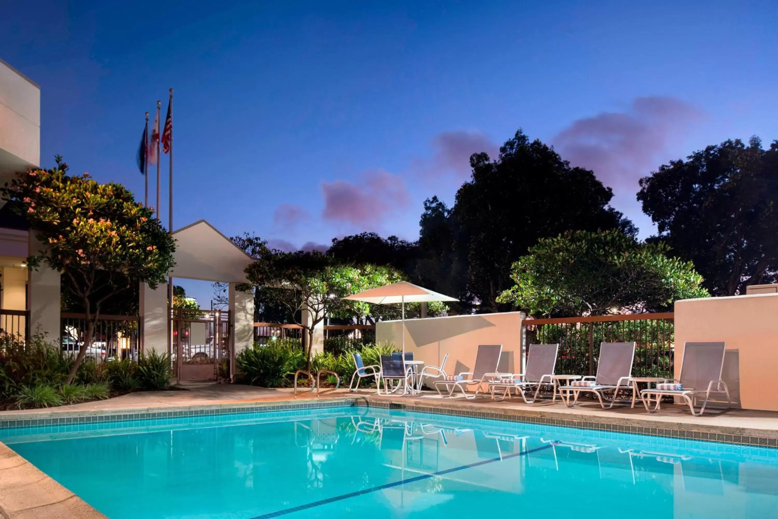 Swimming Pool in Four Points by Sheraton - San Francisco Bay Bridge