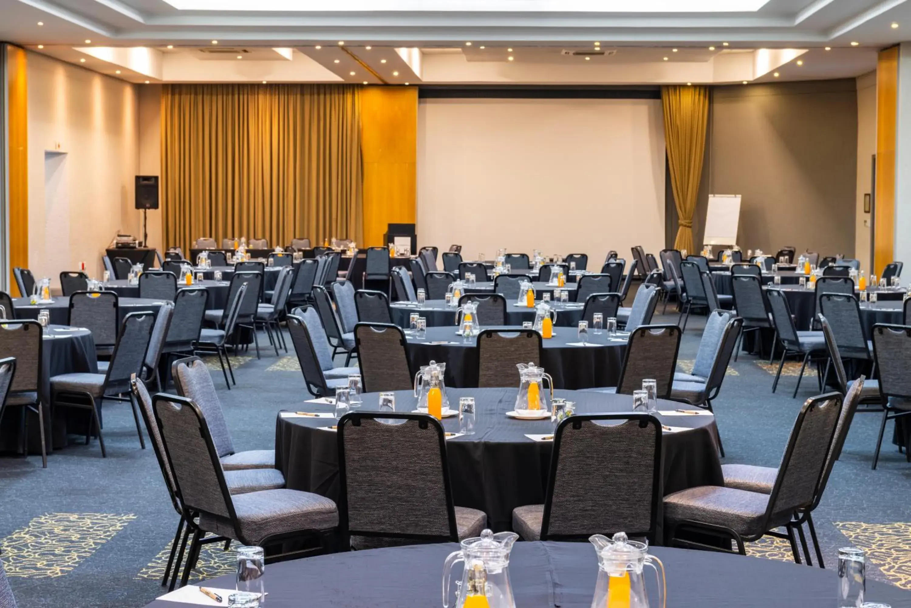 Business facilities in aha Kopanong Hotel & Conference Centre