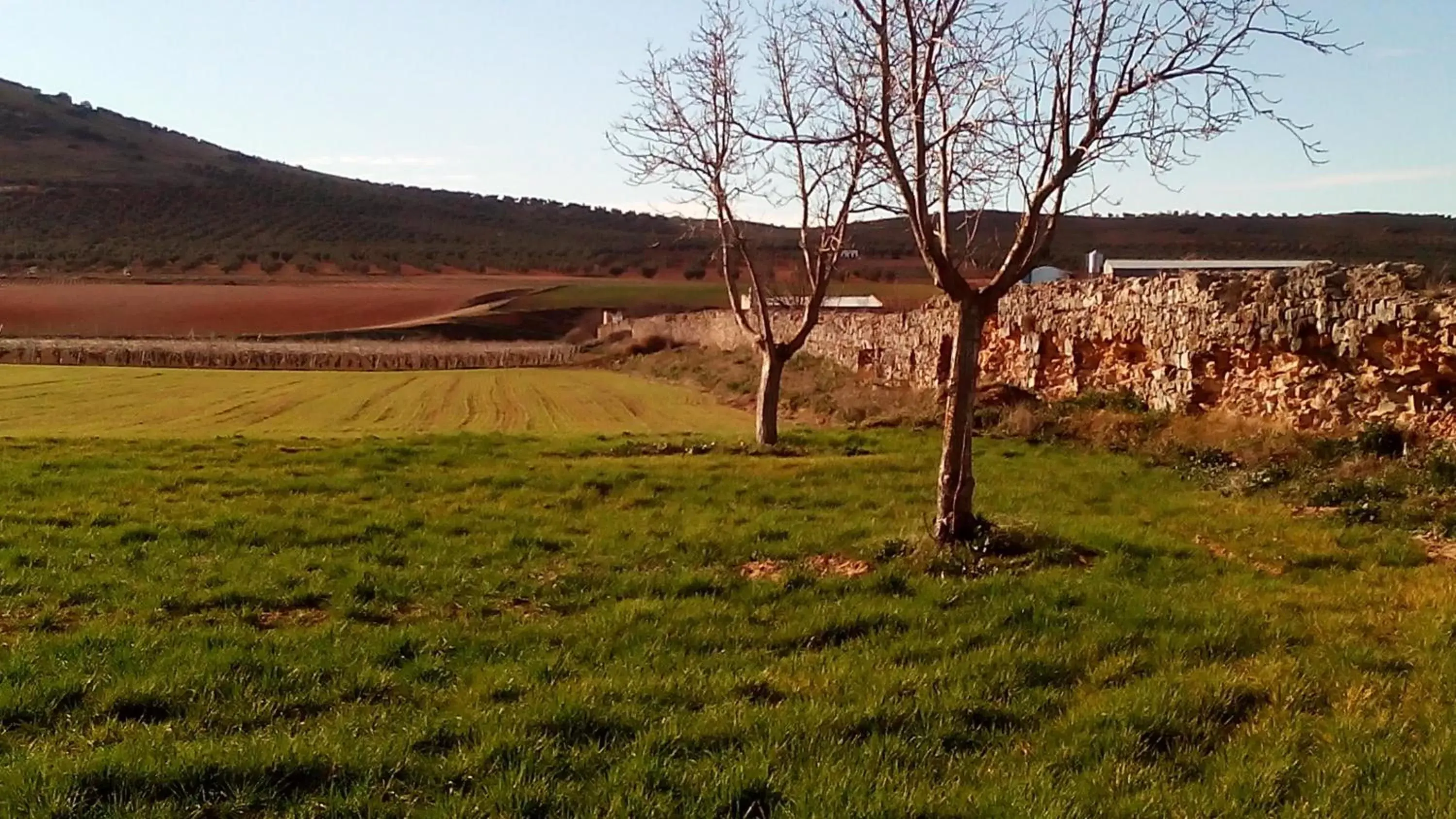 Activities in Hotel Rural La Vida de Antes