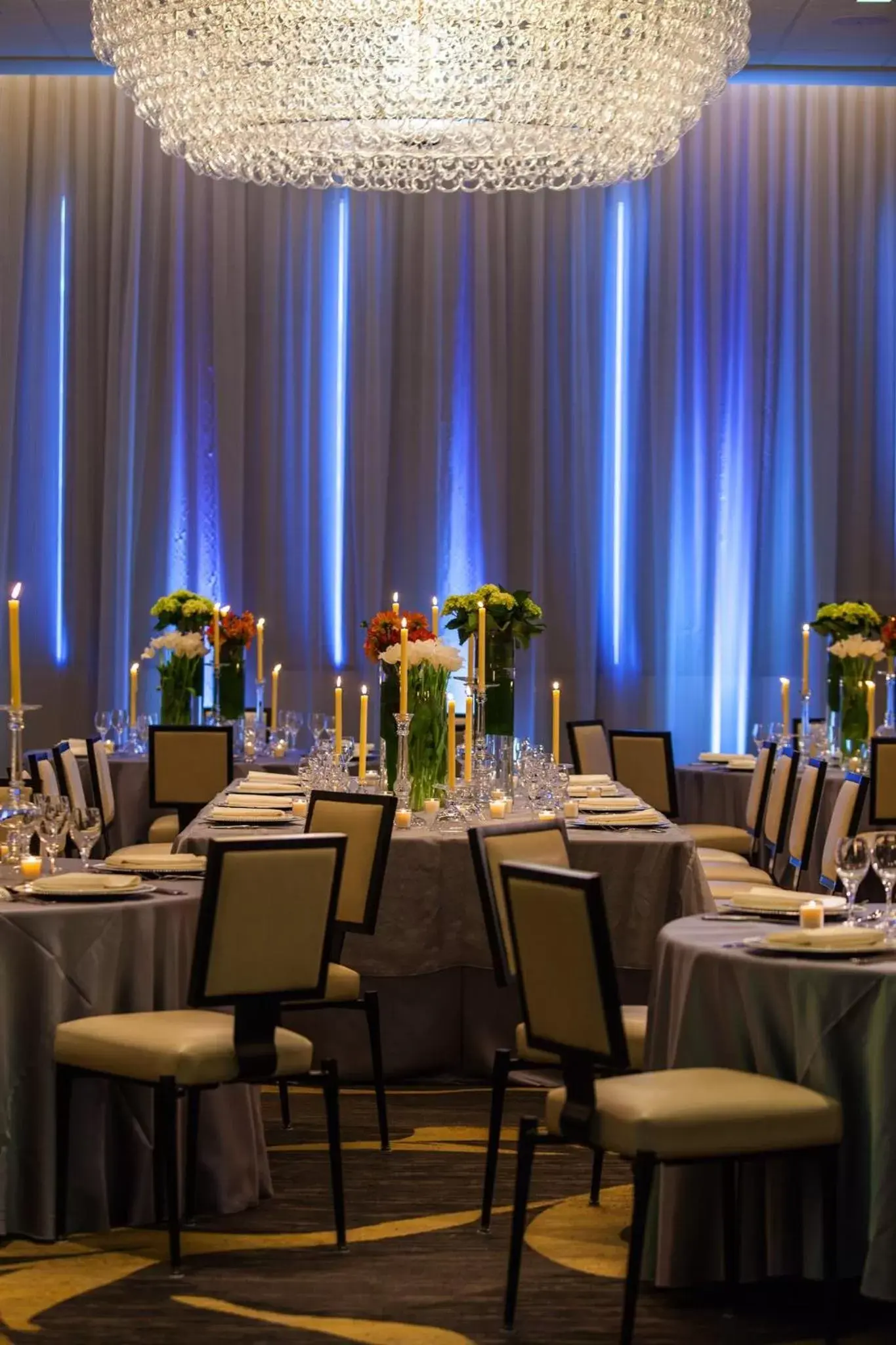 Banquet/Function facilities, Restaurant/Places to Eat in Kimpton Hotel Palomar Phoenix Cityscape, an IHG Hotel