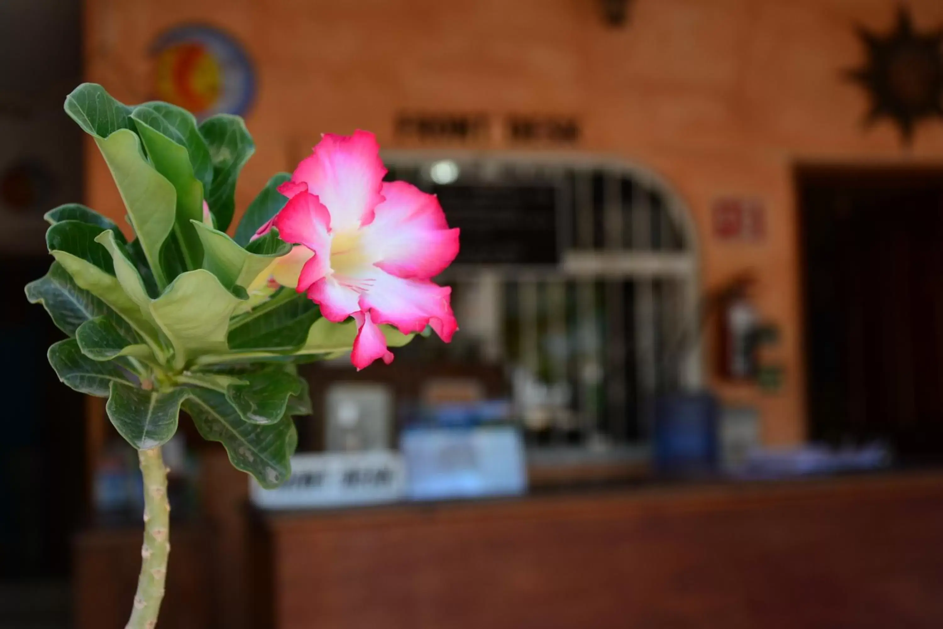 Lobby or reception in Hotel Posada Luna Sol