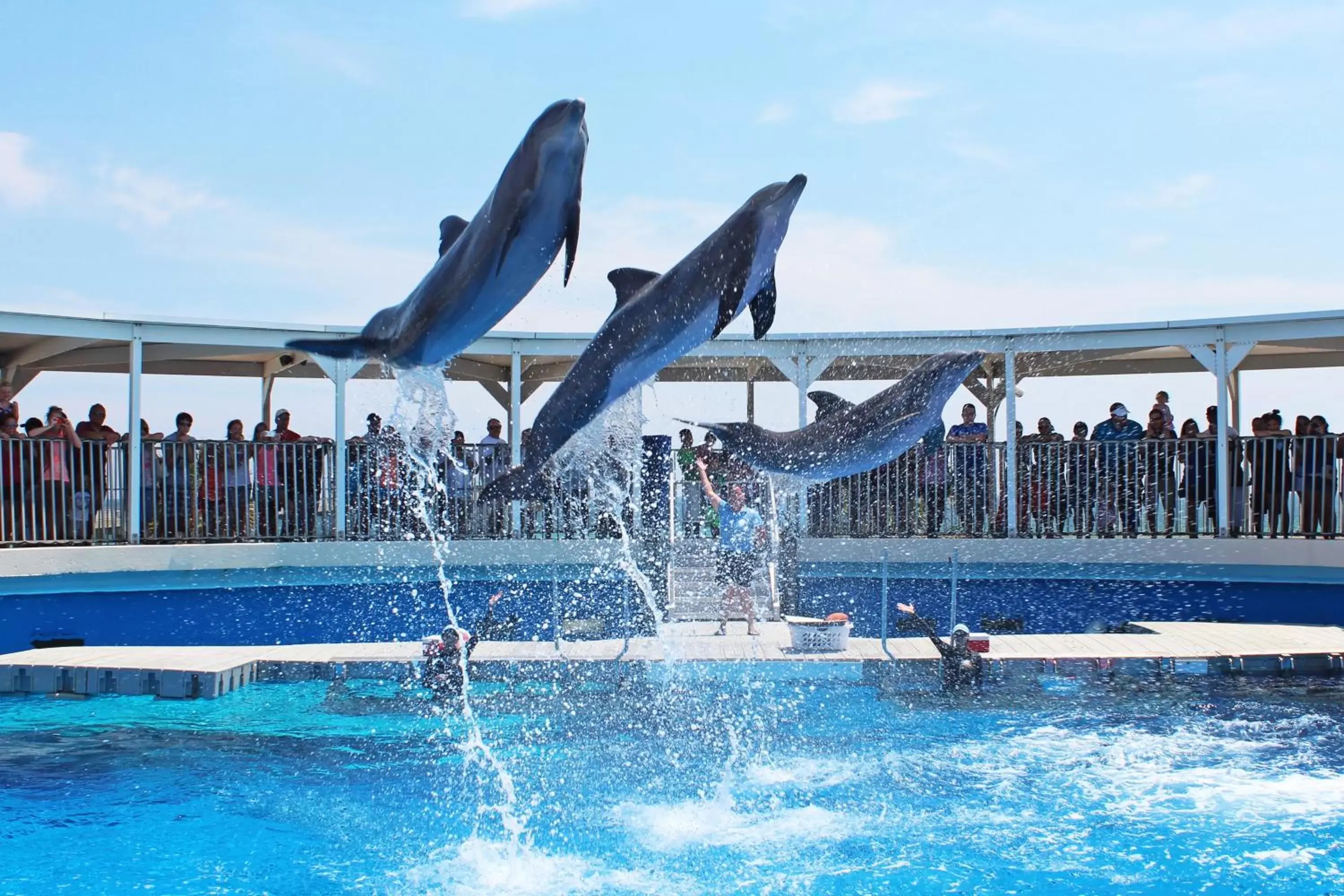 Nearby landmark, Swimming Pool in Holiday Inn Resort Fort Walton Beach, an IHG Hotel