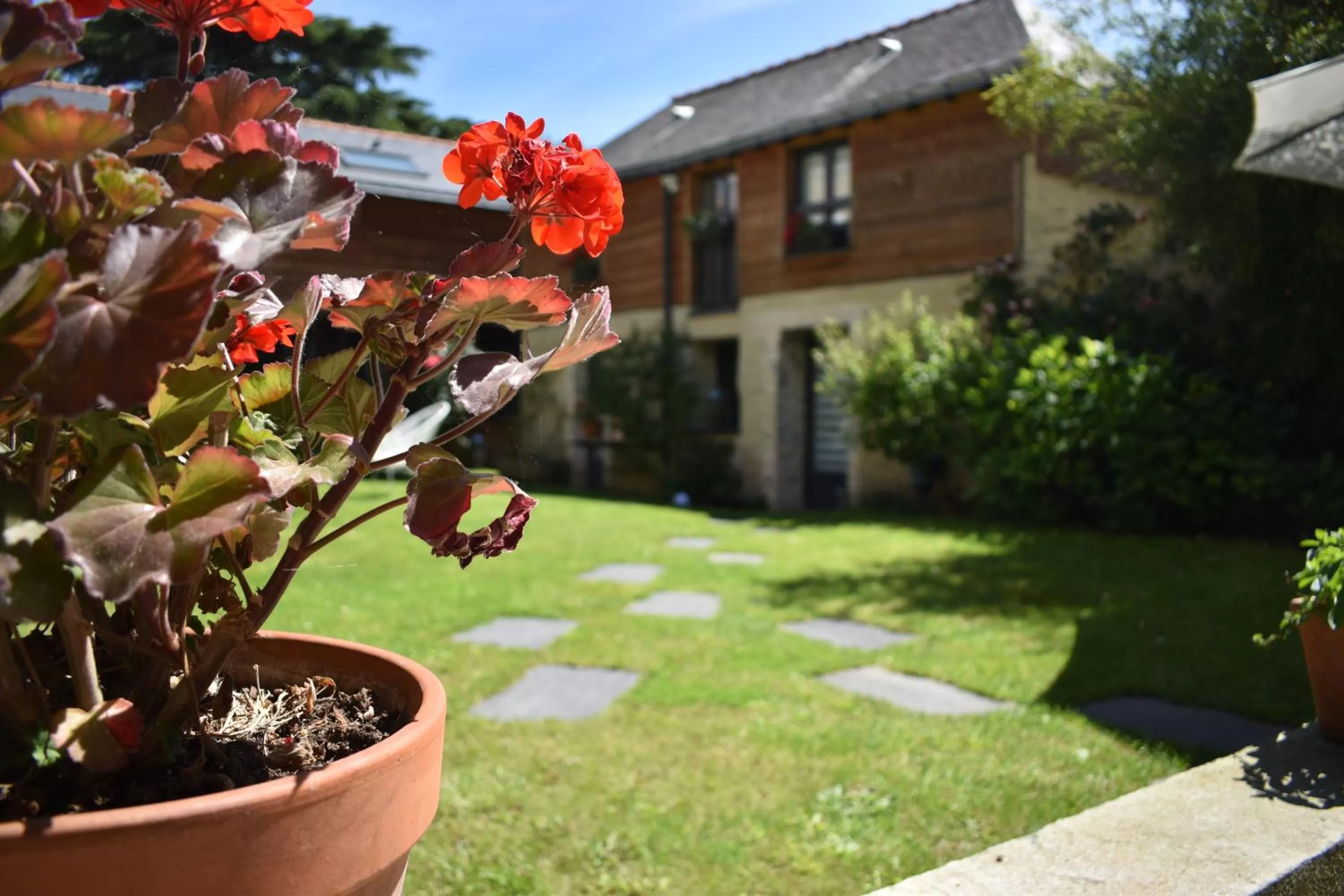 Garden in Madeleine et Cie
