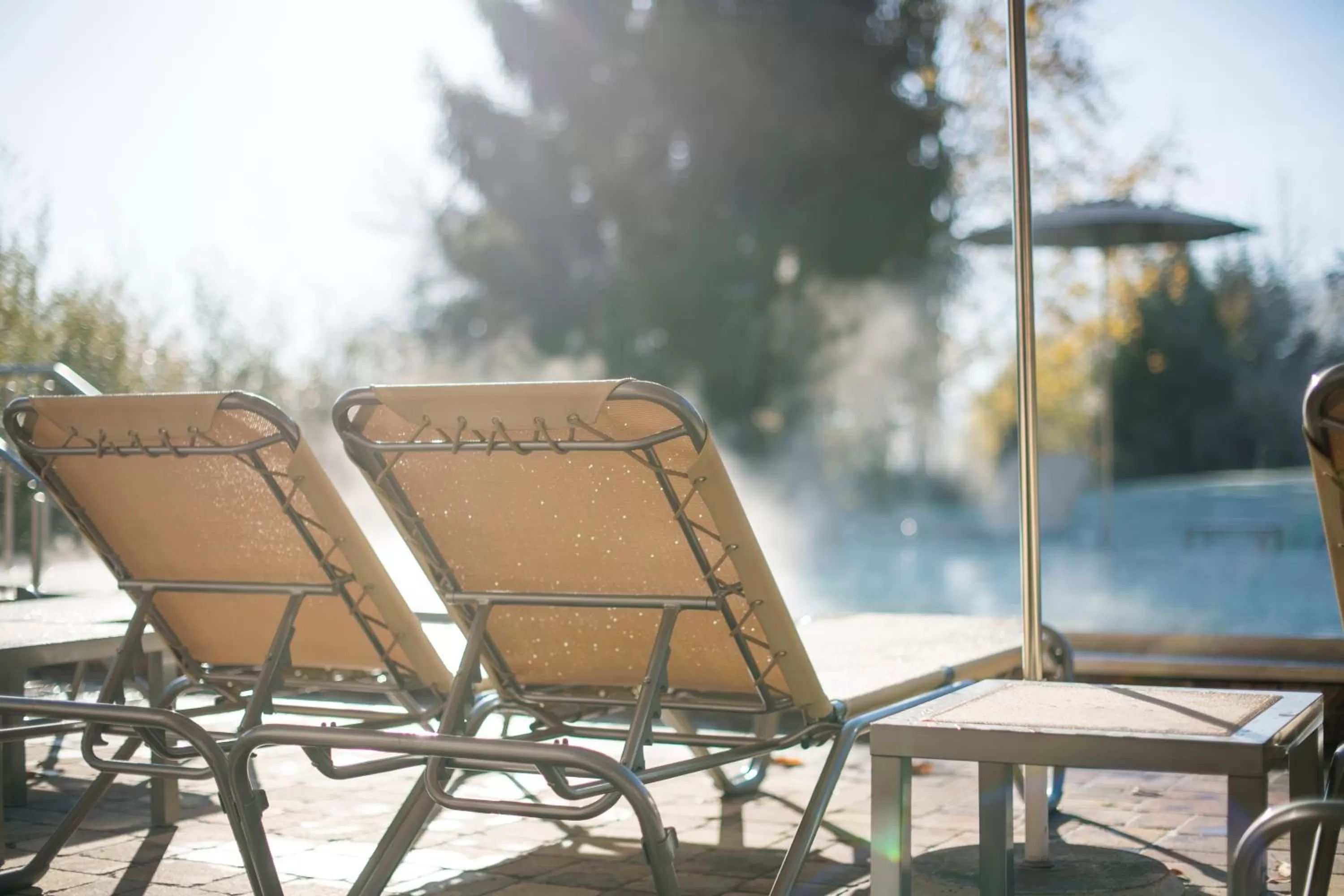 Garden in Hostellerie Des Châteaux & Spa