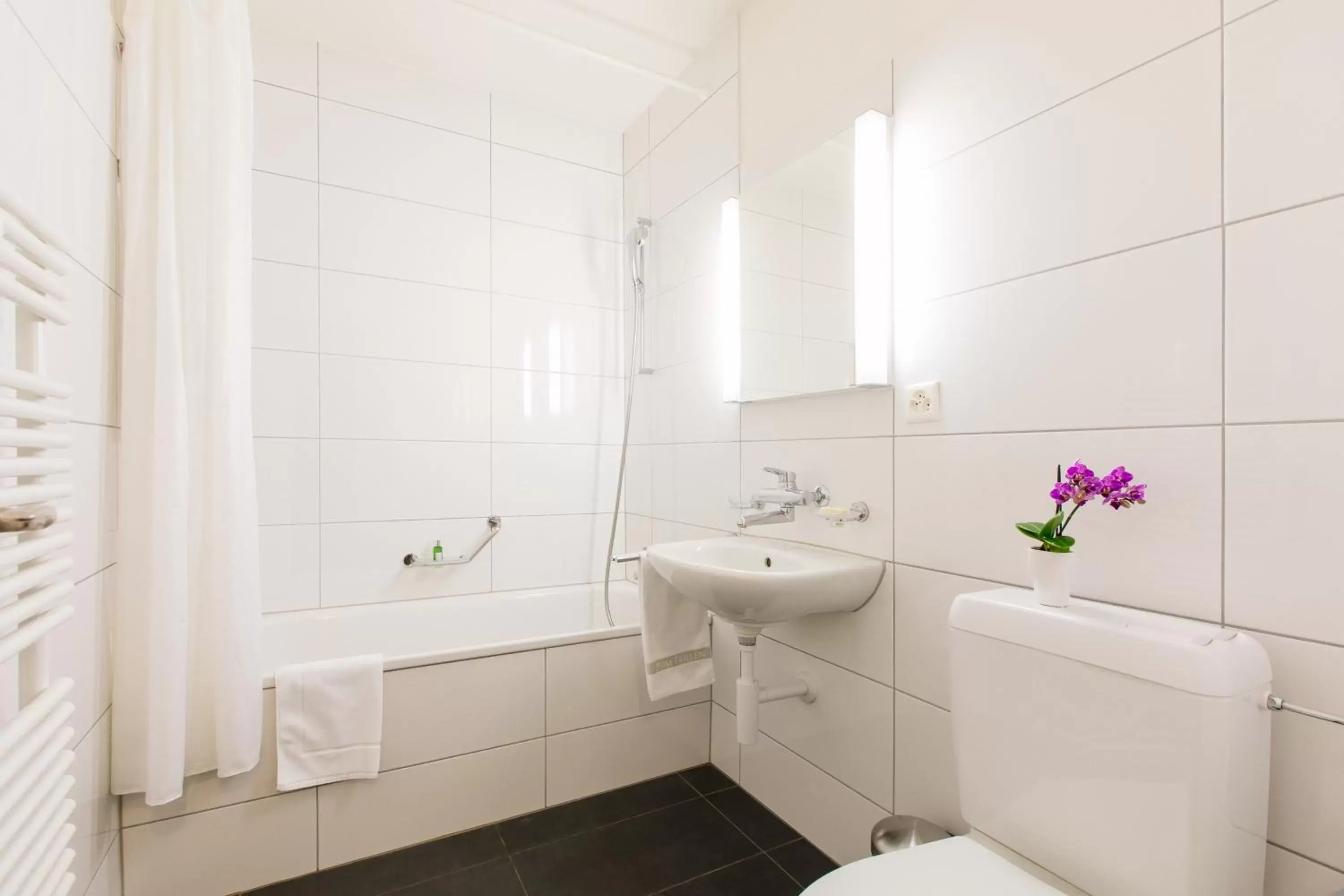 Toilet, Bathroom in Apartmenthaus zum Trillen Basel City Center