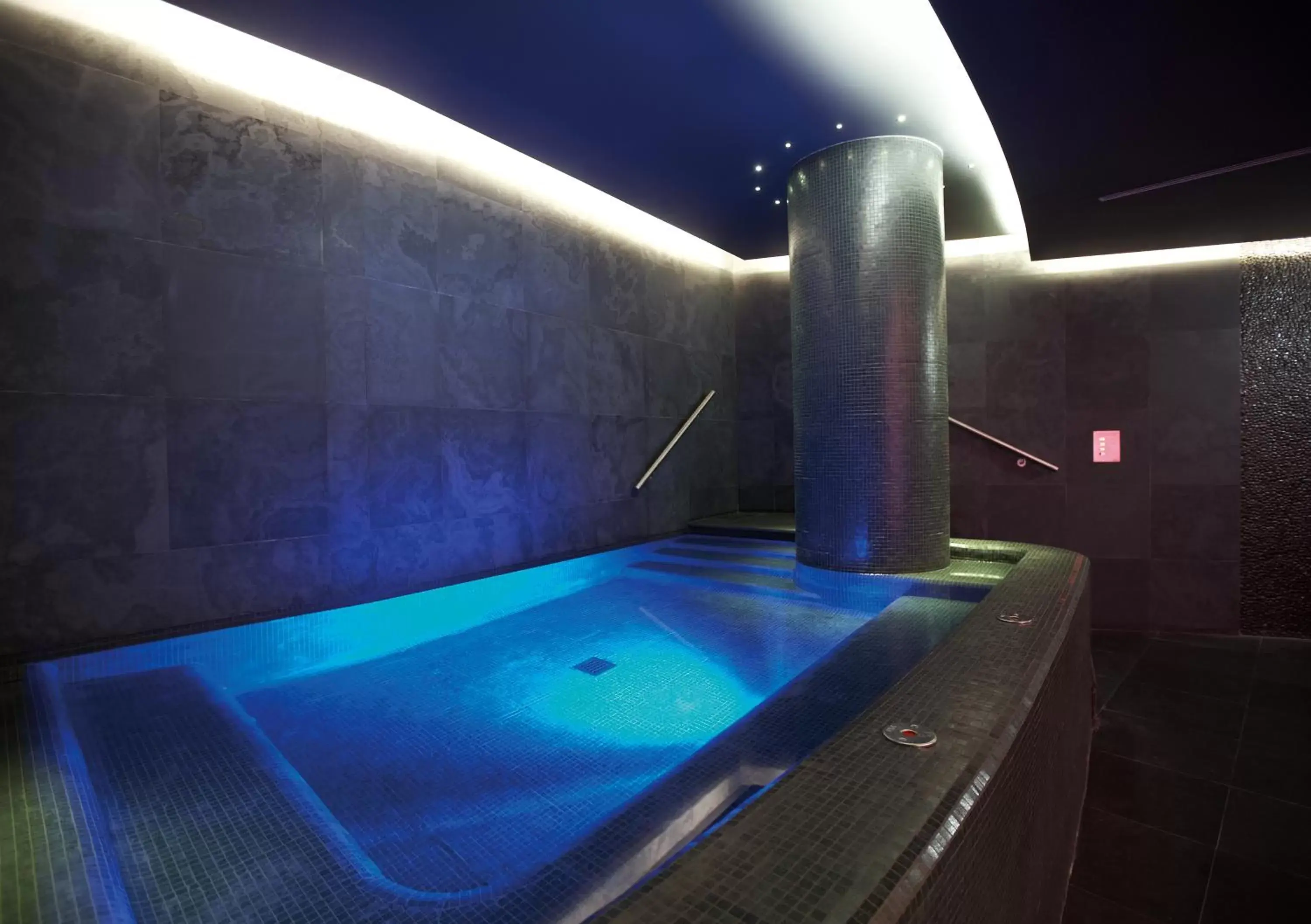 Spa and wellness centre/facilities, Swimming Pool in The Vine Hotel