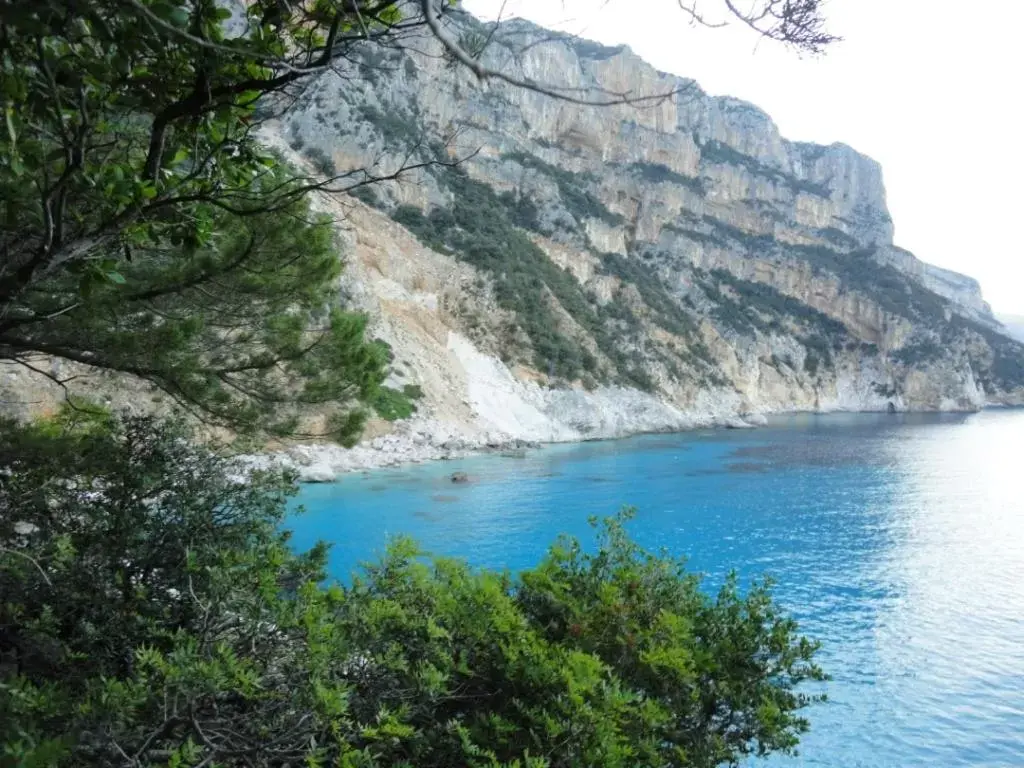 Natural Landscape in B&B Selvaggio Blu