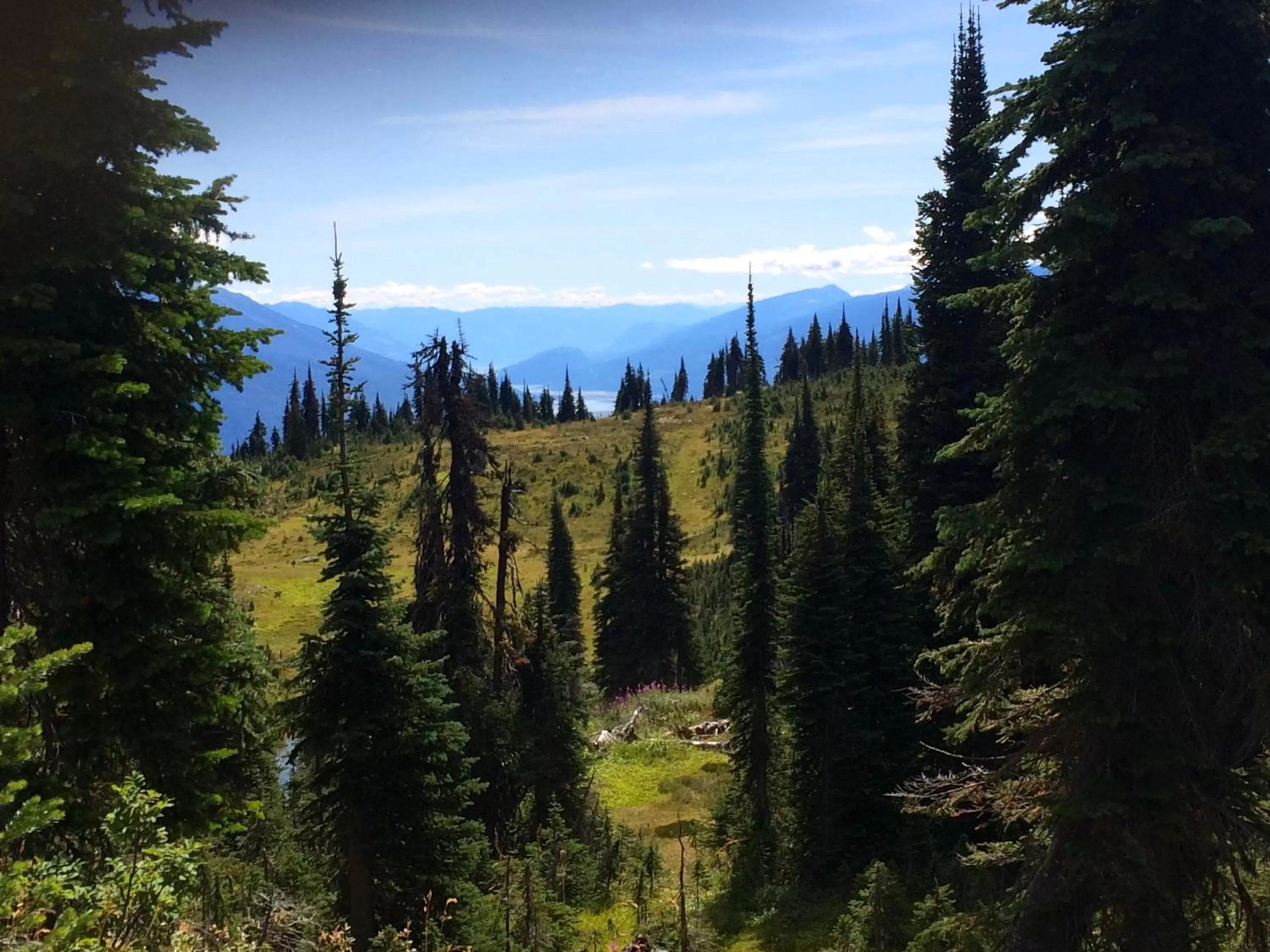 Hiking in Alpenrose Revelstoke Bed & Breakfast