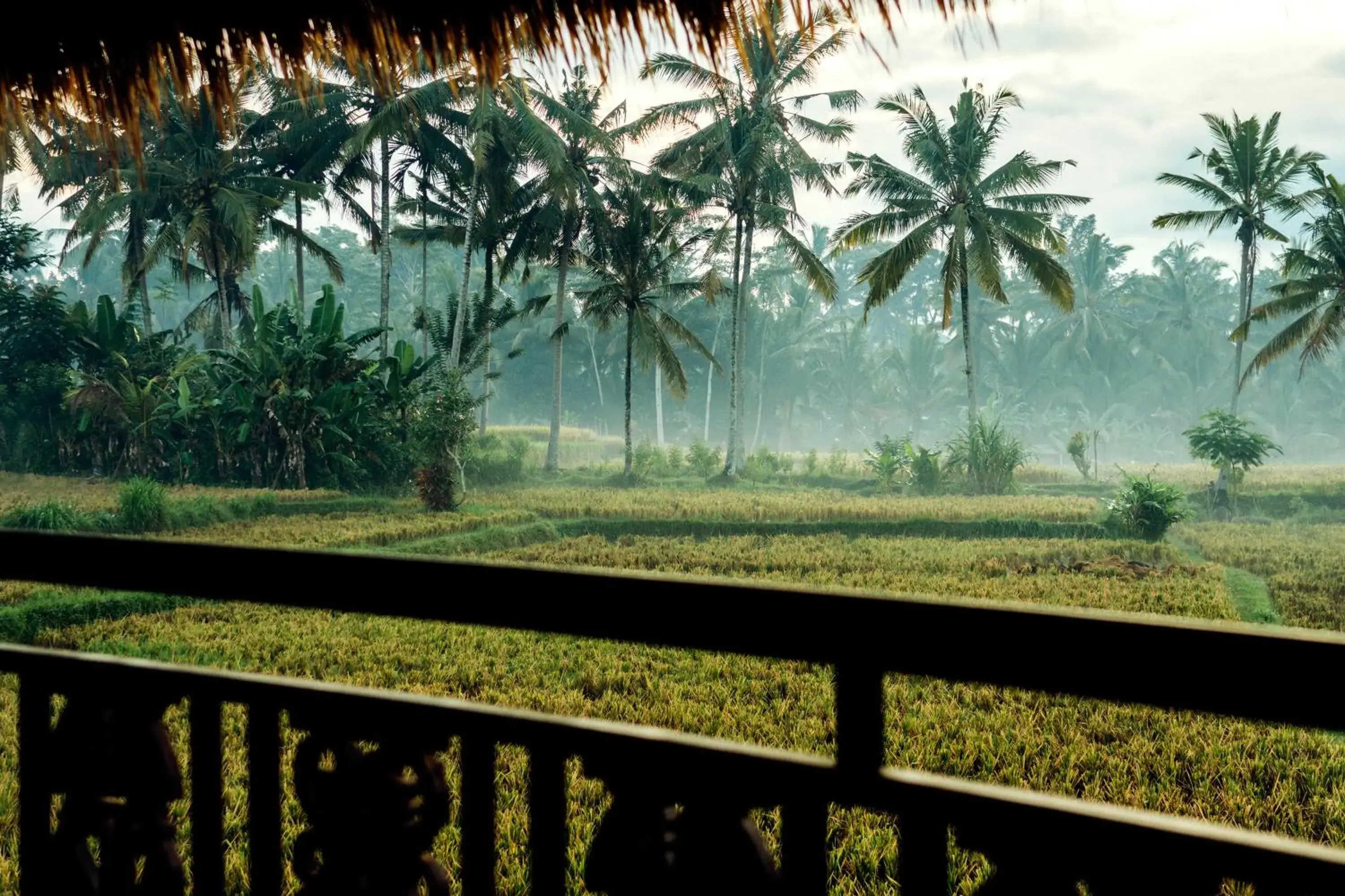 View (from property/room) in Honai Resort