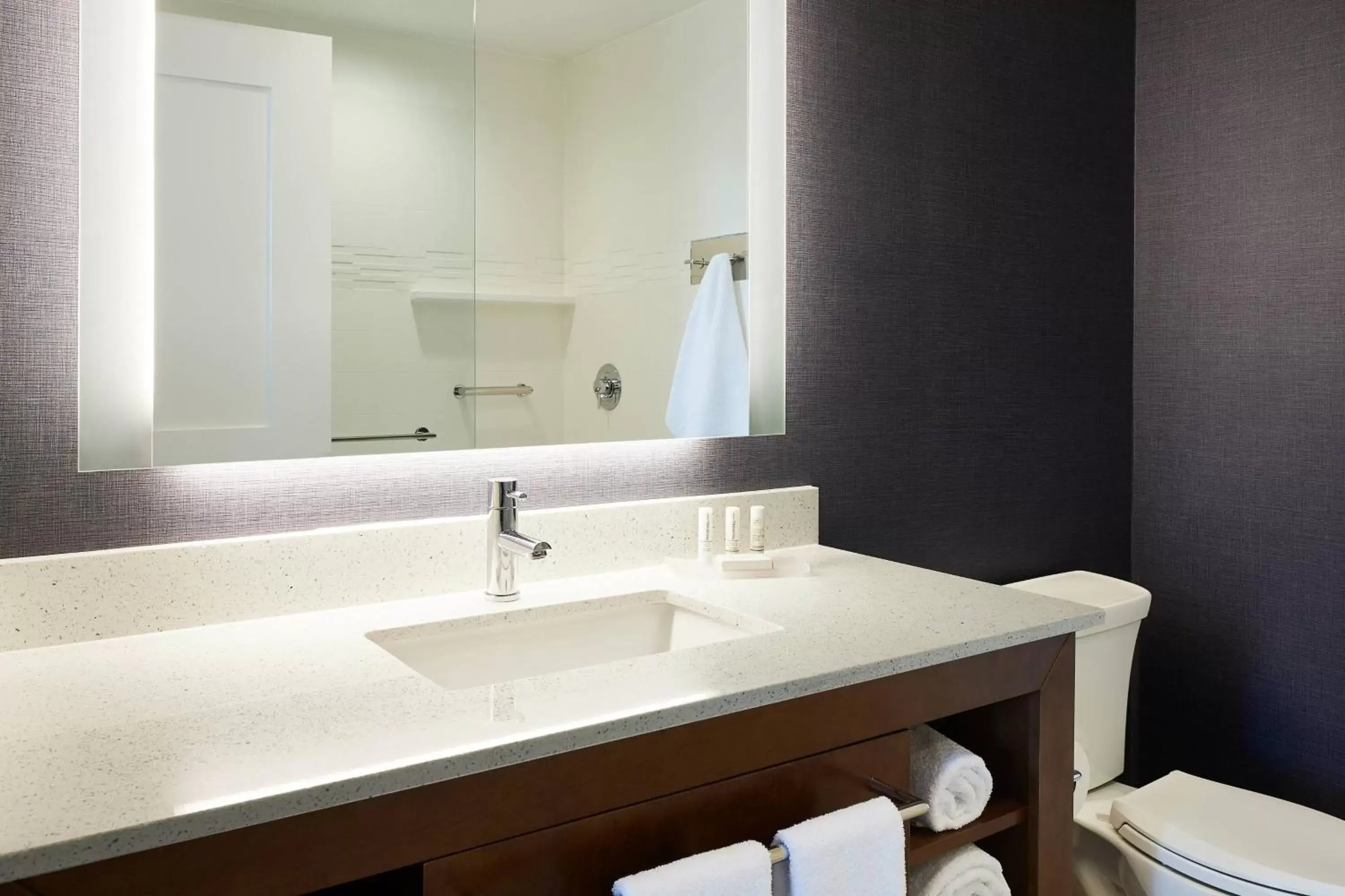 Bathroom in Residence Inn By Marriott Dallas By The Galleria