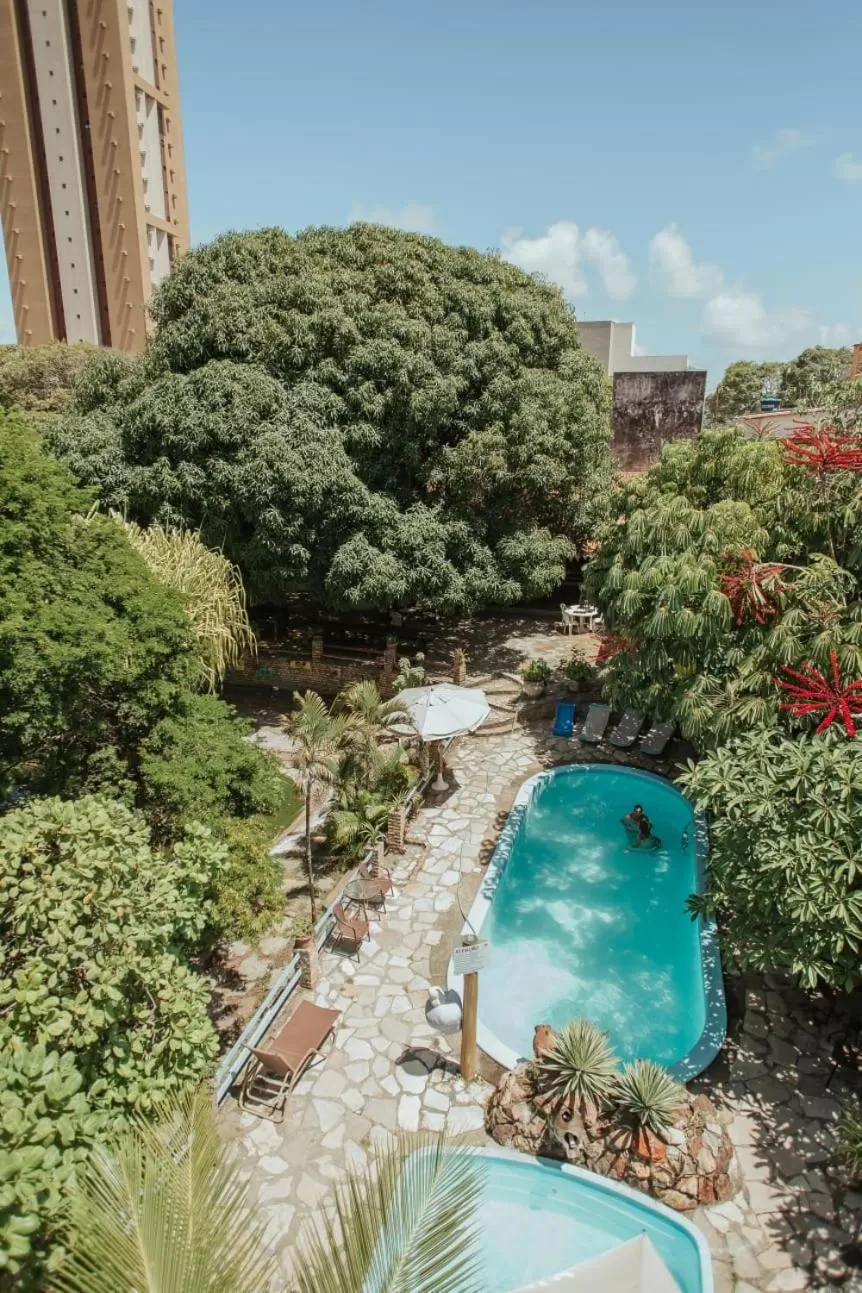 Swimming pool in Chalet Suisse