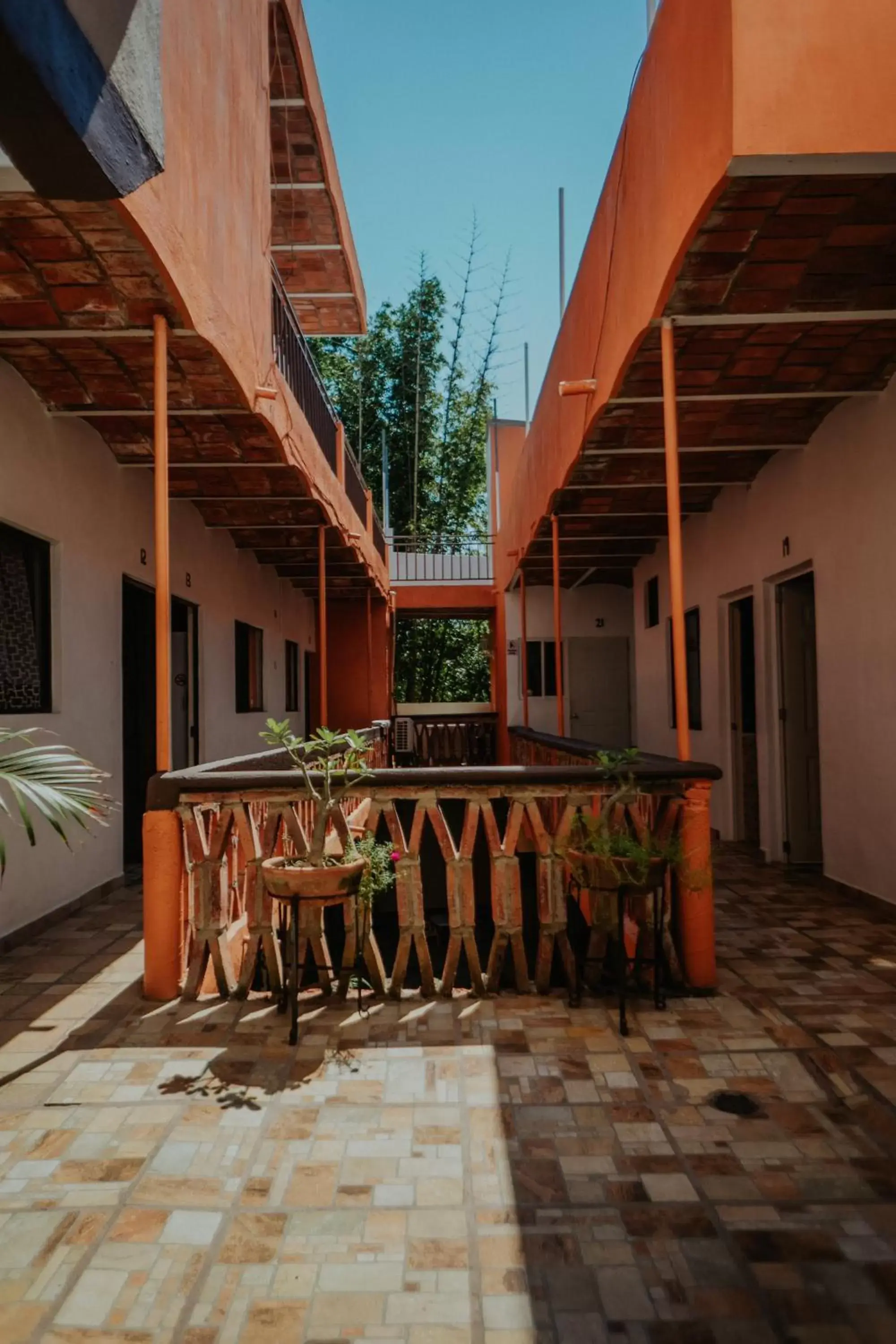 Patio in Bungalows Flamingos