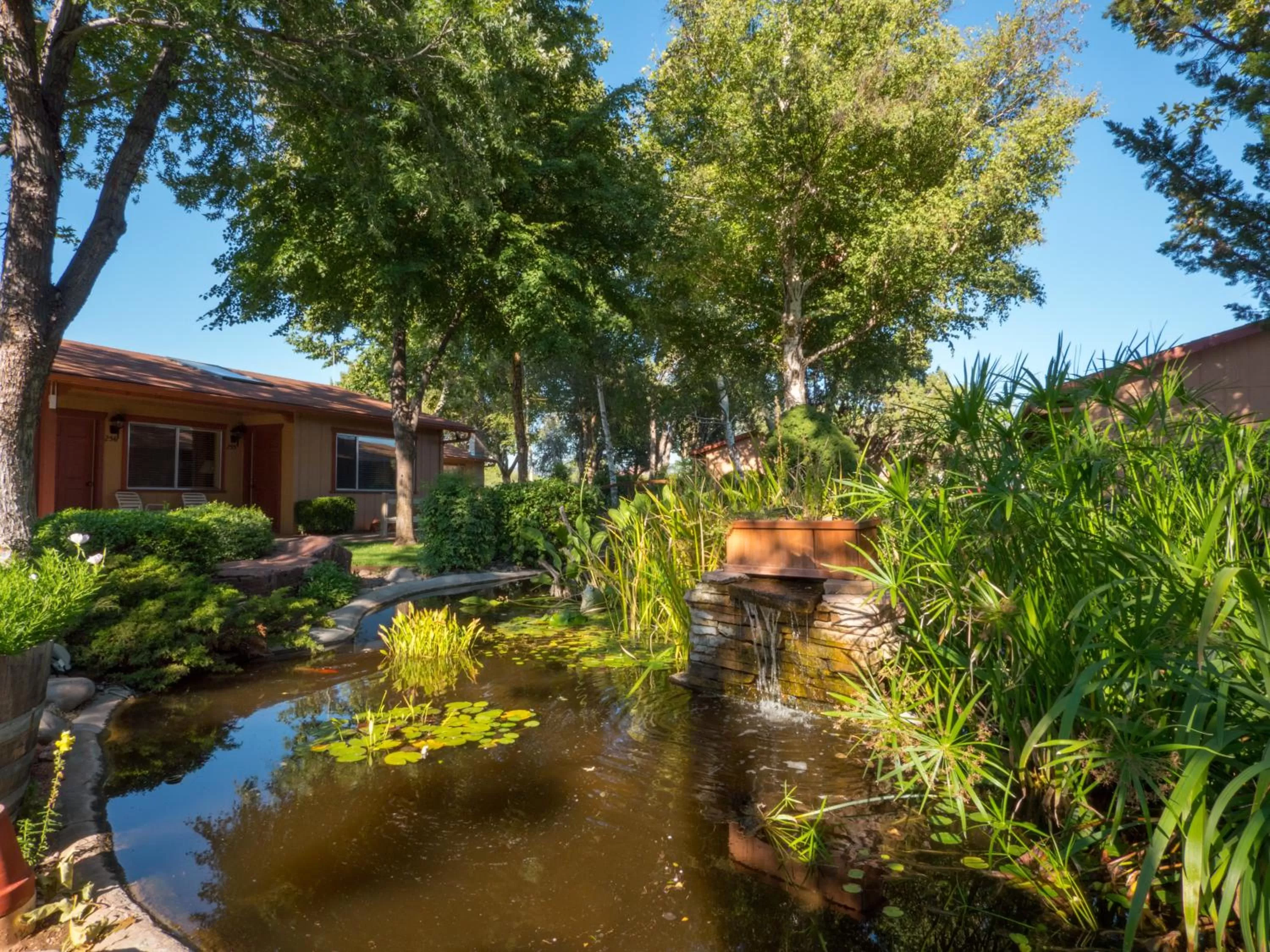 Garden in Sky Ranch Lodge