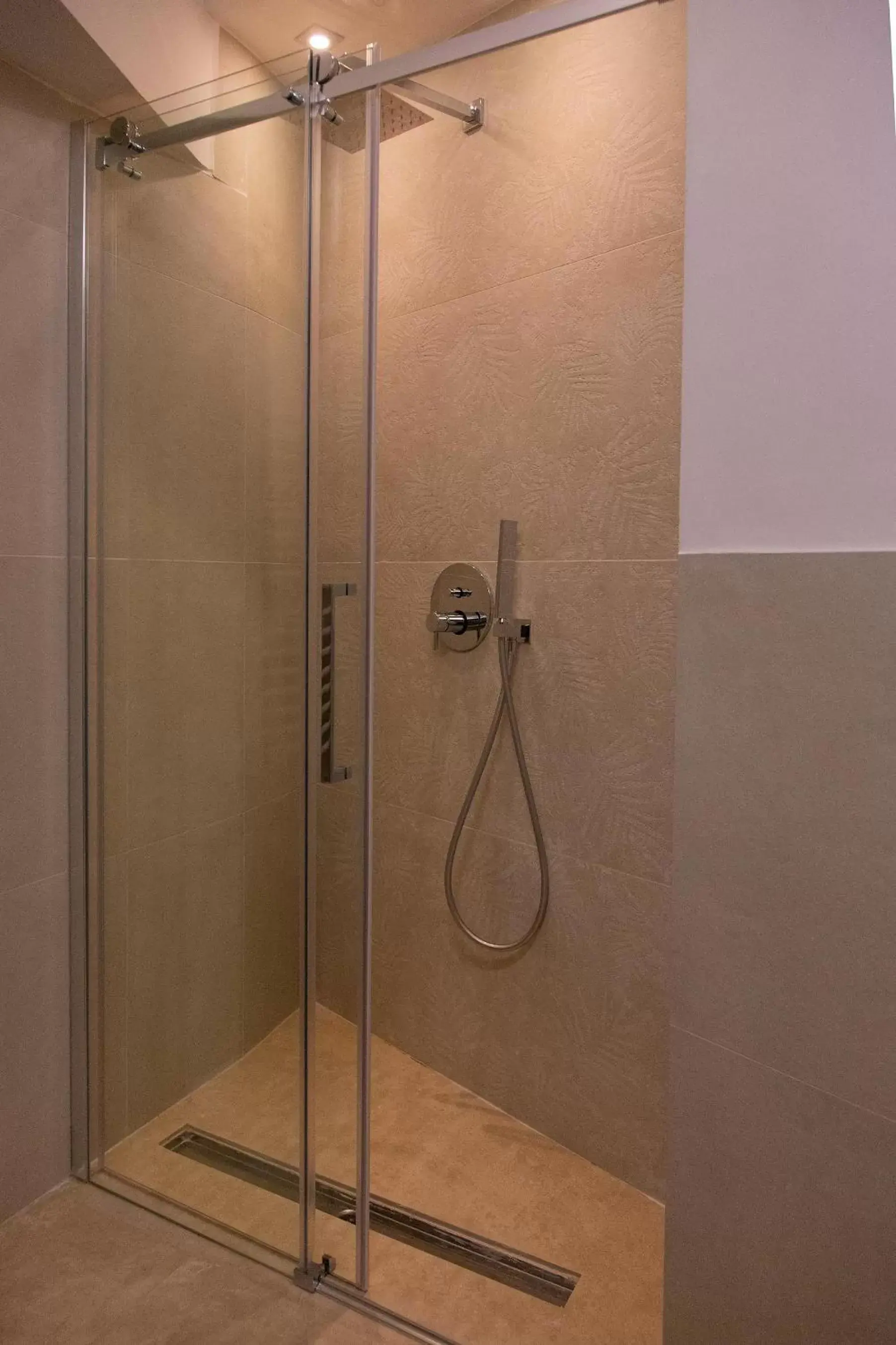 Shower, Bathroom in Repetita Juvant